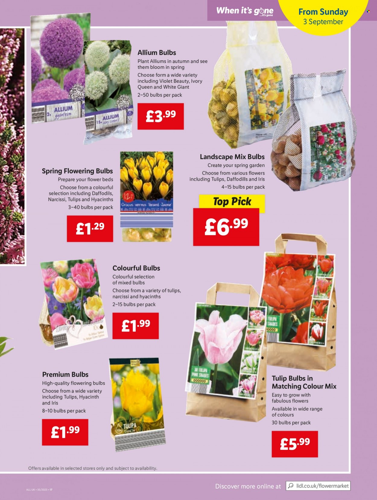 Lidl offer - 31/08/2023 - 06/09/2023. Page 19