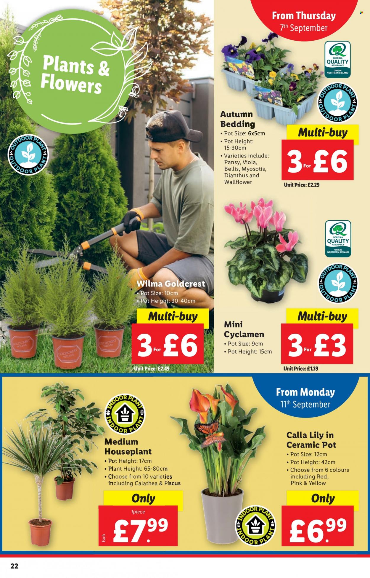 Lidl offer - 07/09/2023 - 13/09/2023. Page 22