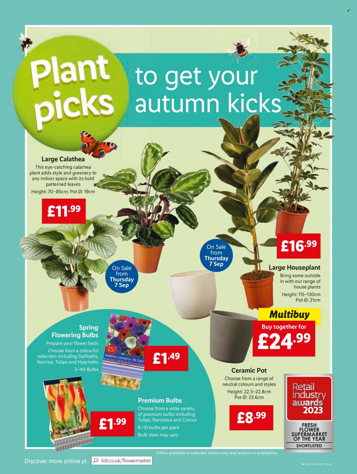 Lidl offer - 07/09/2023 - 13/09/2023. Page 24