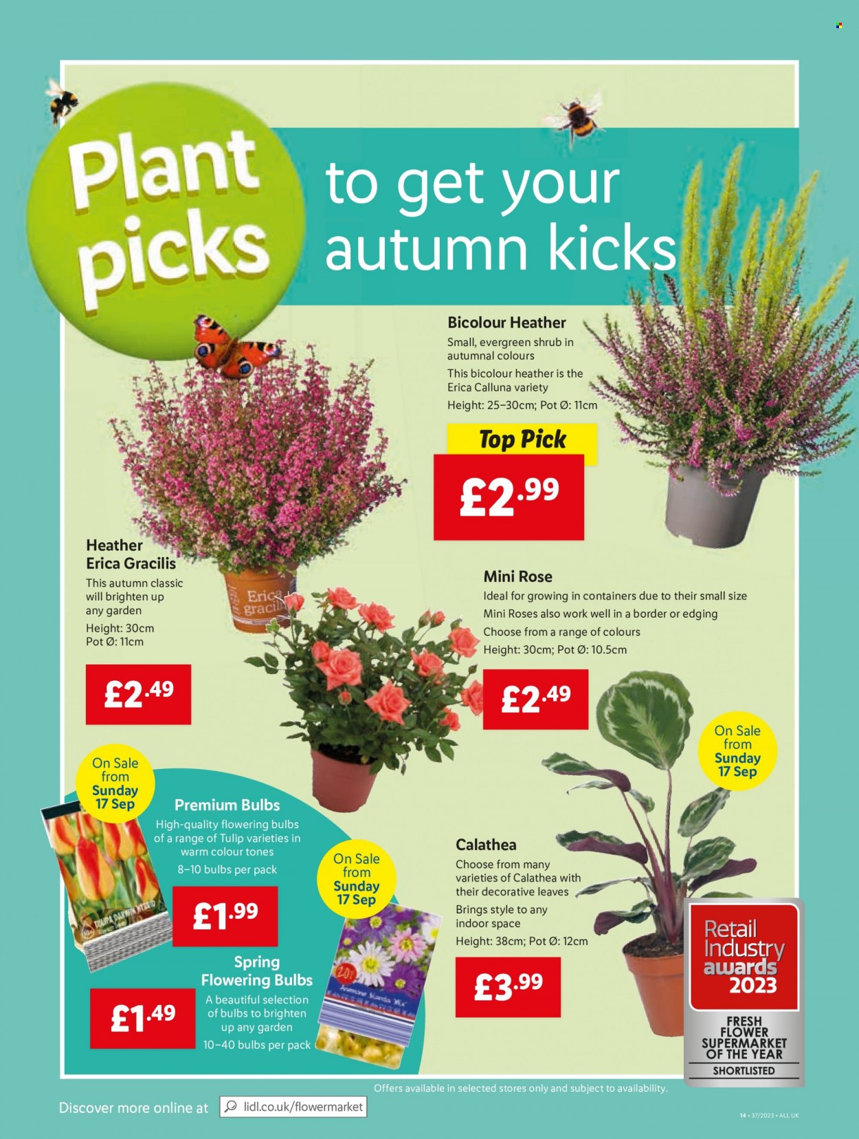 Lidl offer - 14/09/2023 - 20/09/2023. Page 14
