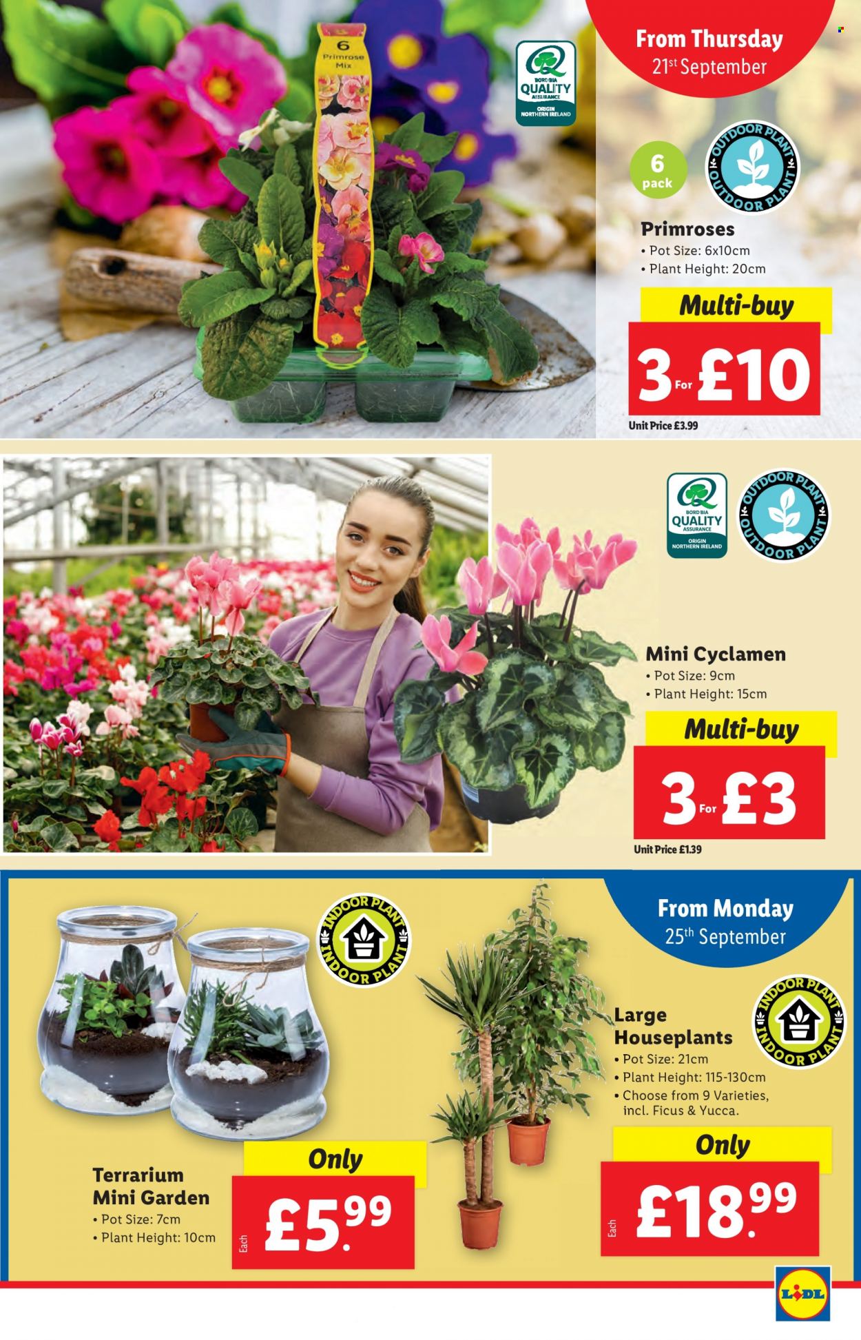 Lidl offer - 21/09/2023 - 27/09/2023. Page 24