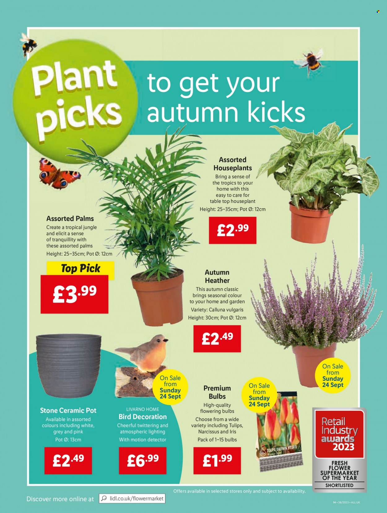 Lidl offer - 21/09/2023 - 27/09/2023. Page 18