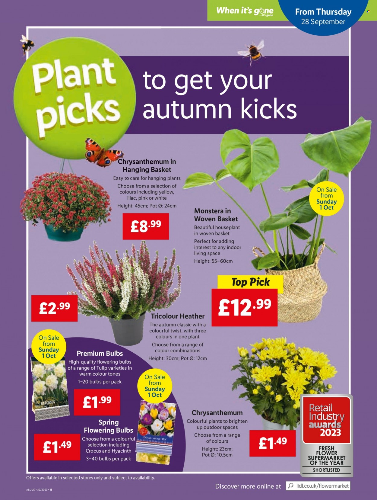 Lidl offer - 28/09/2023 - 04/10/2023. Page 31