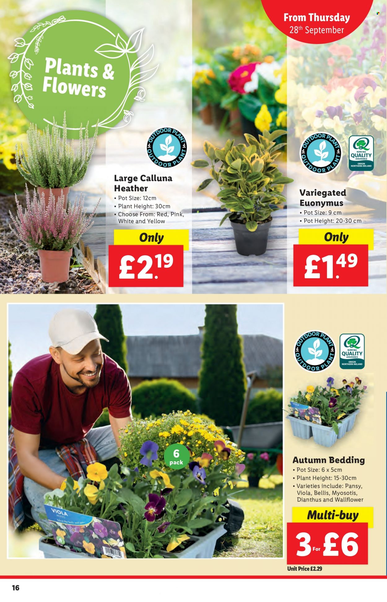 Lidl offer - 28/09/2023 - 29/09/2023. Page 16
