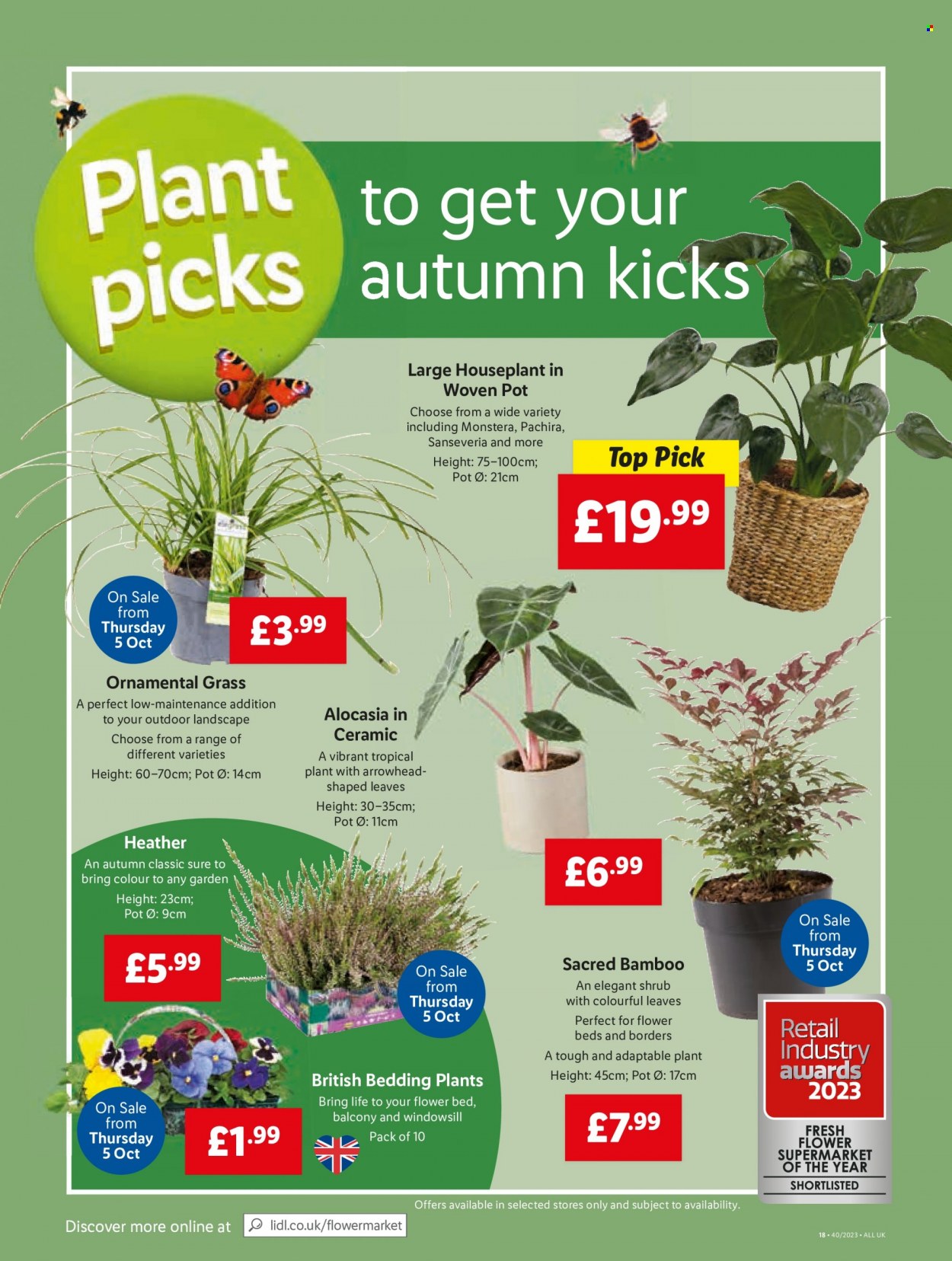 Lidl offer - 05/10/2023 - 11/10/2023. Page 40