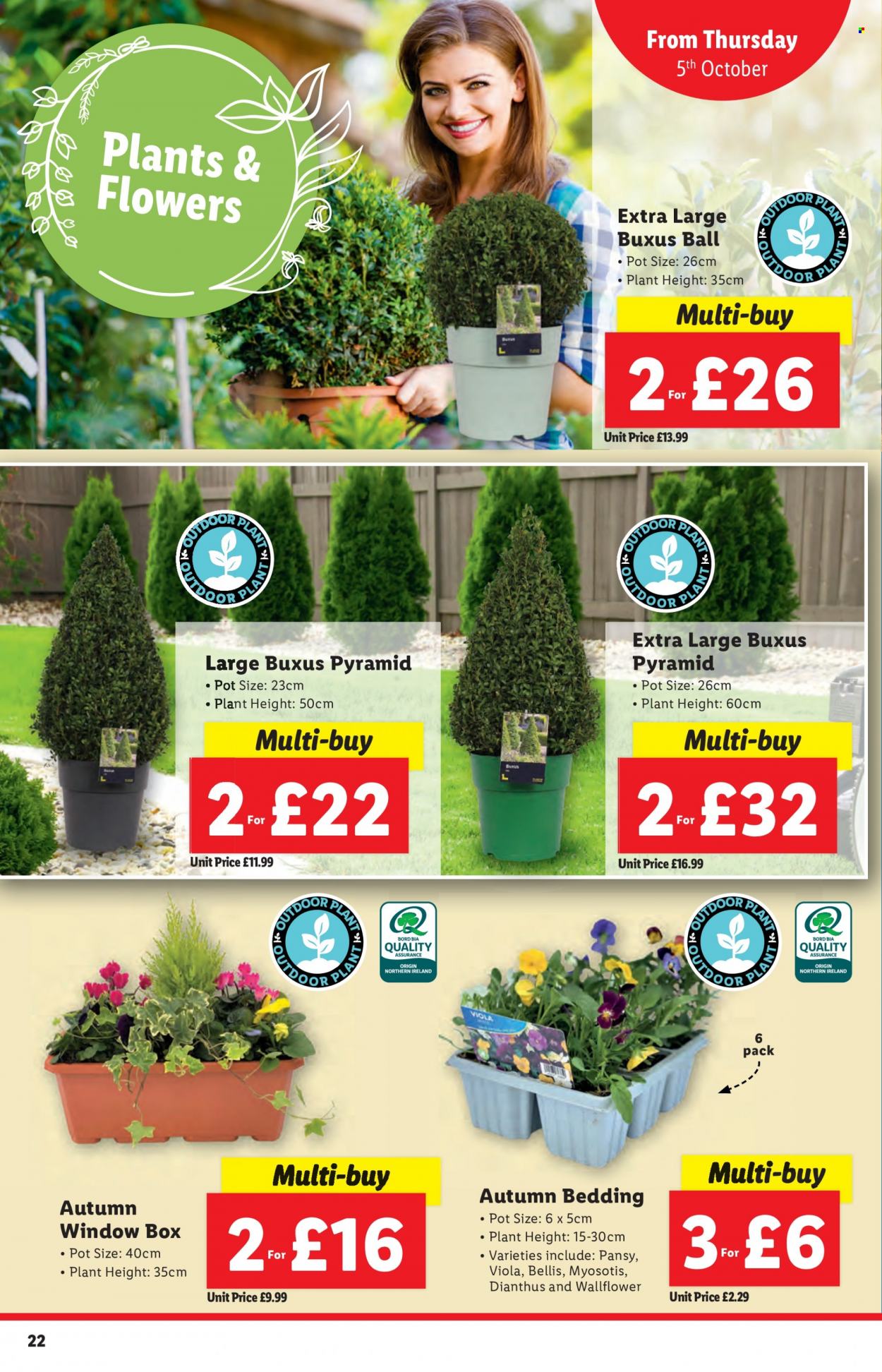Lidl offer - 05/10/2023 - 11/10/2023. Page 22