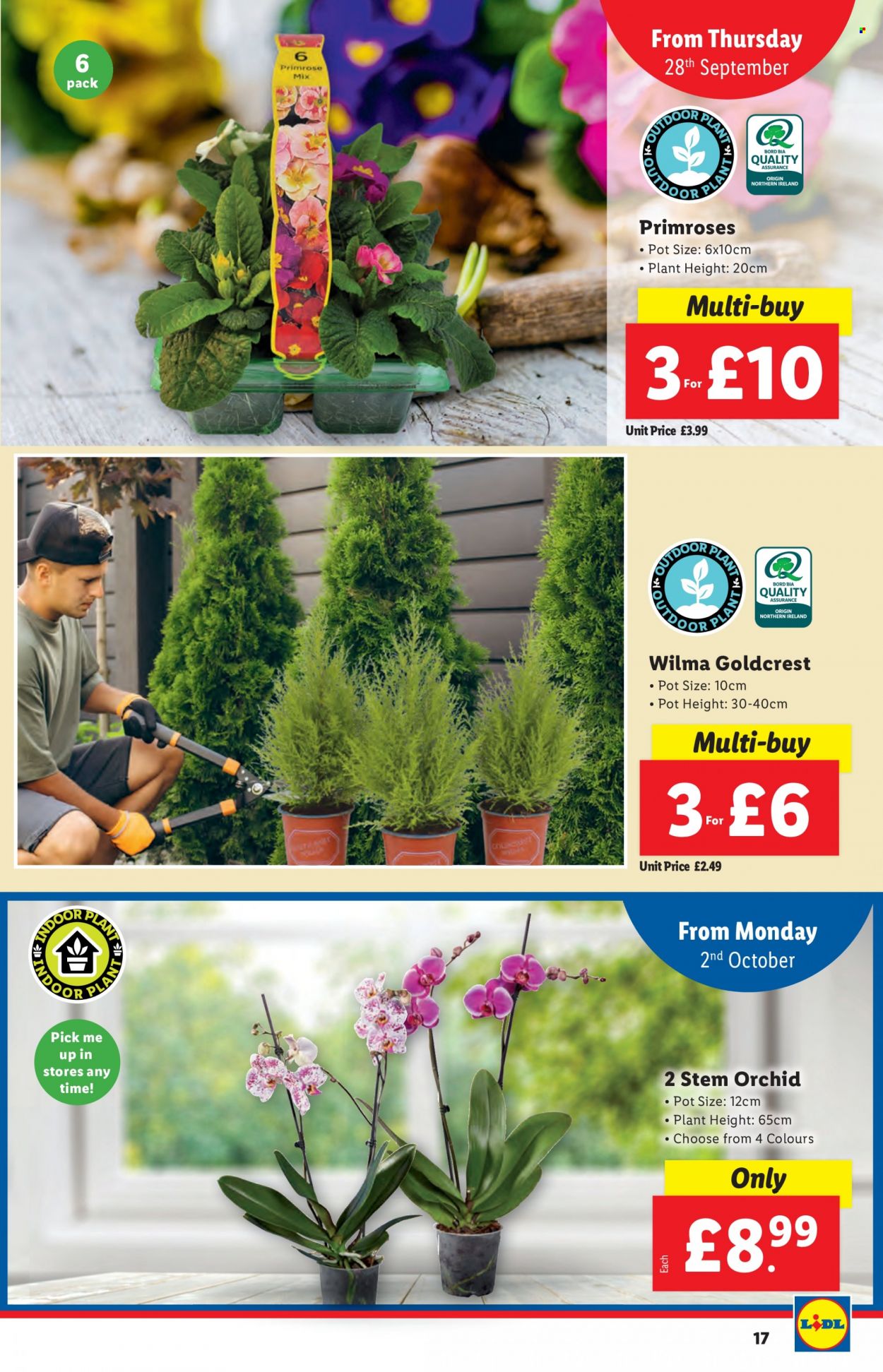 Lidl offer - 28/09/2023 - 04/10/2023. Page 17