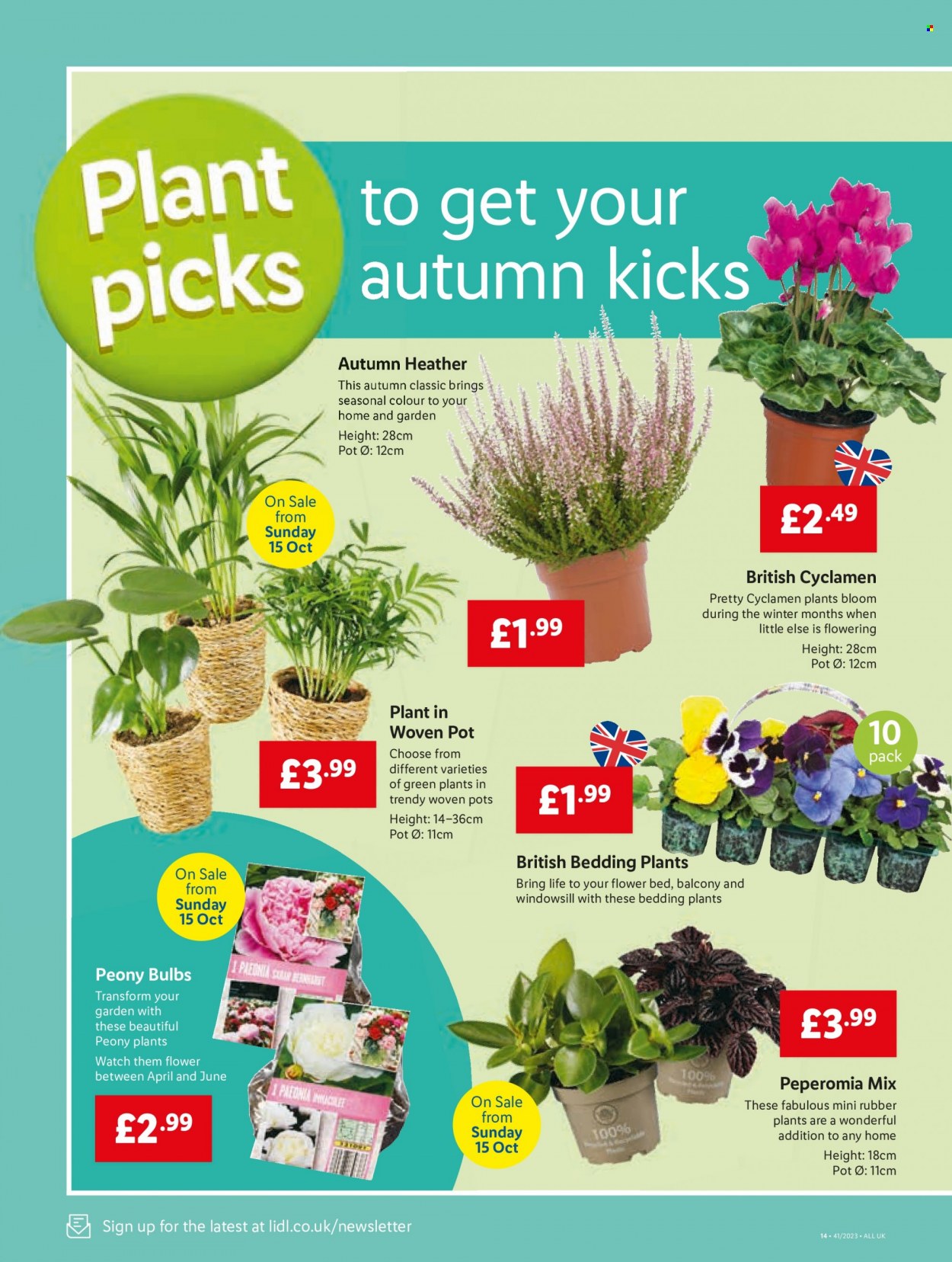 Lidl offer - 12/10/2023 - 18/10/2023. Page 16