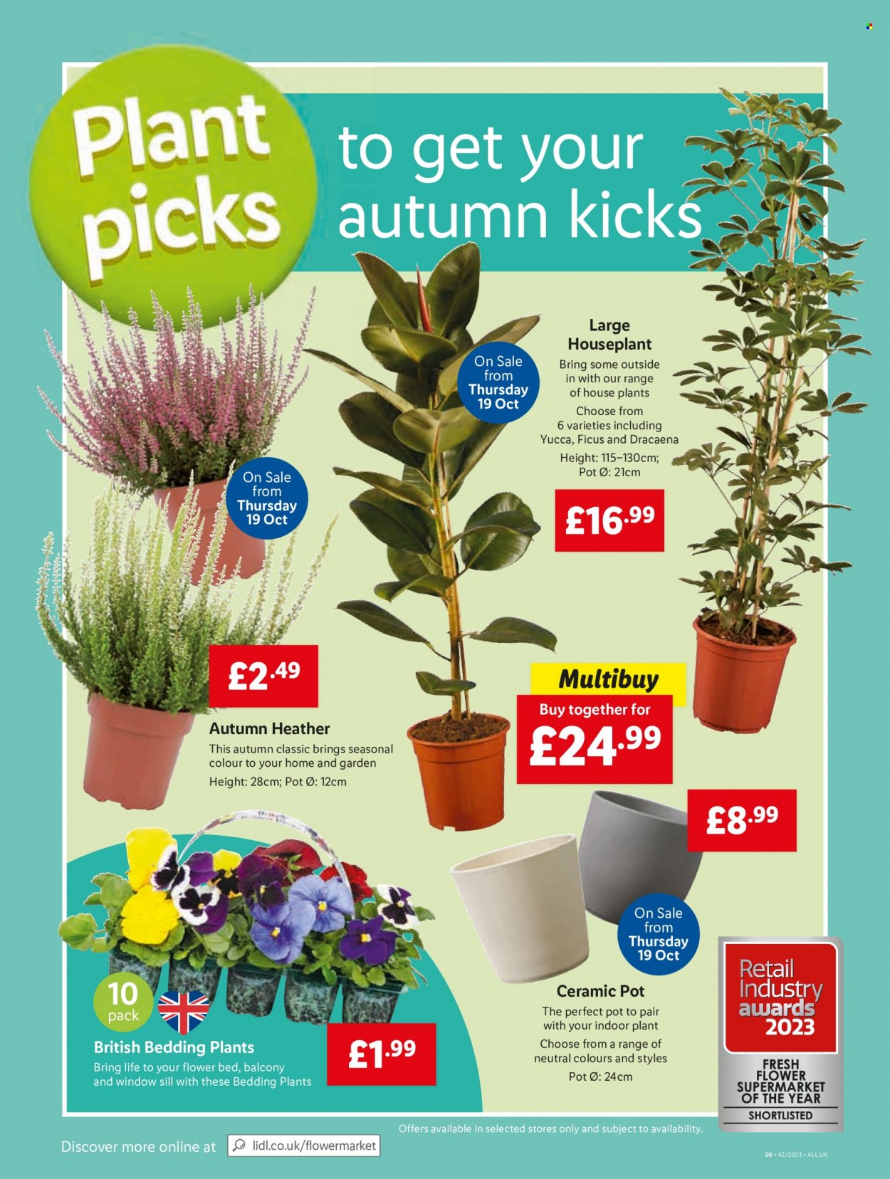 Lidl offer - 19/10/2023 - 25/10/2023. Page 22