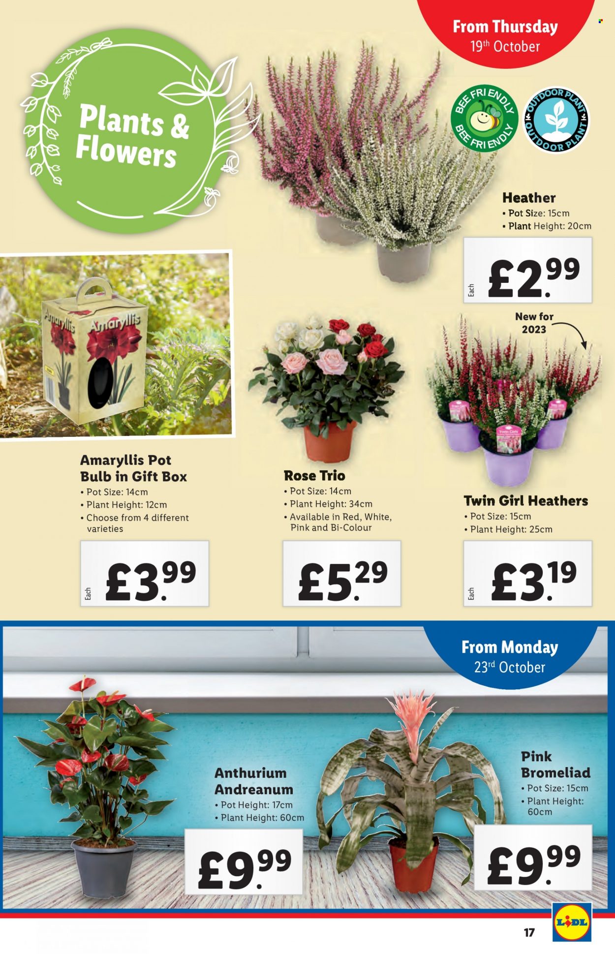 Lidl offer - 19/10/2023 - 25/10/2023. Page 17