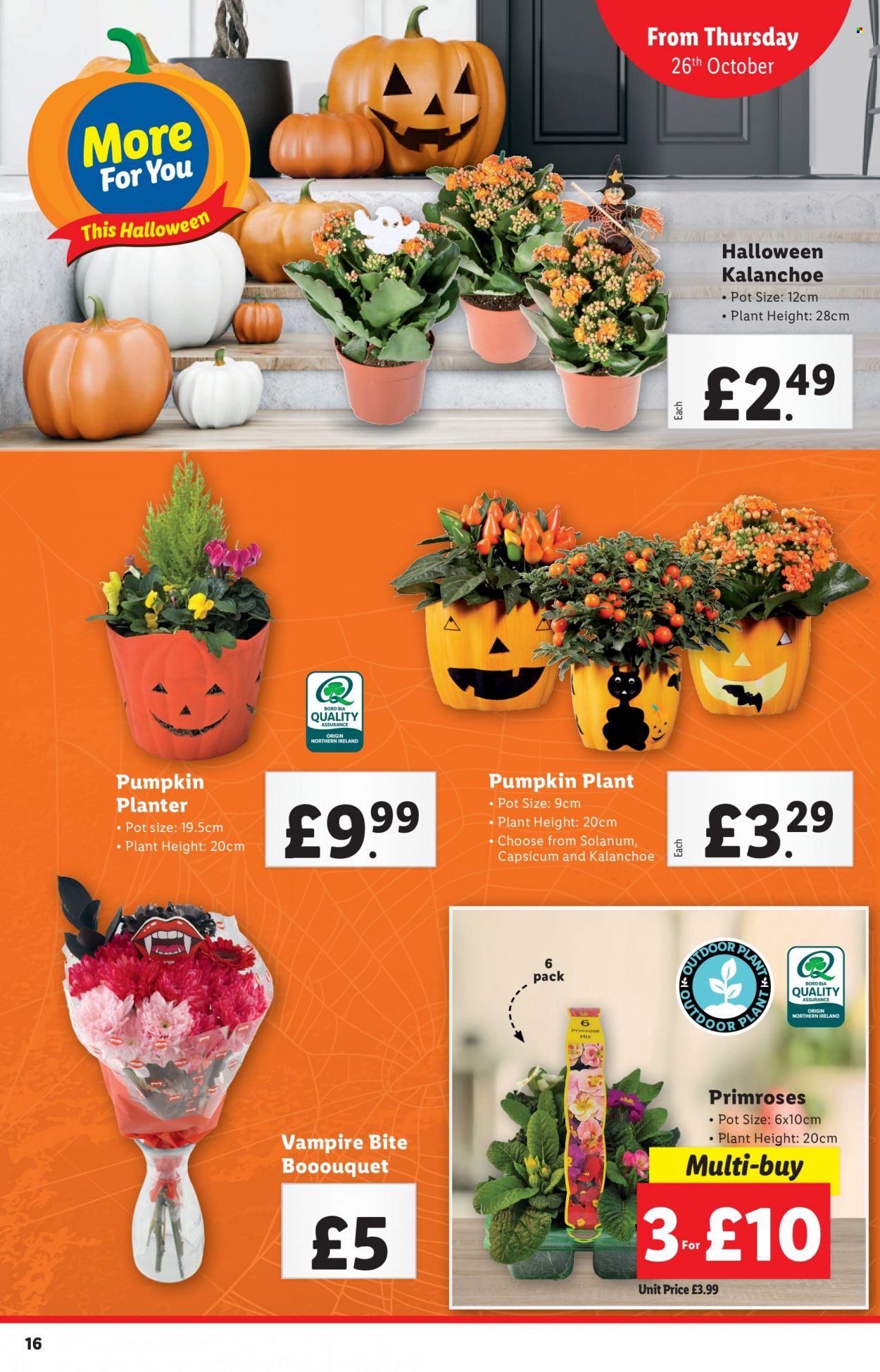 Lidl offer - 26/10/2023 - 01/11/2023. Page 16