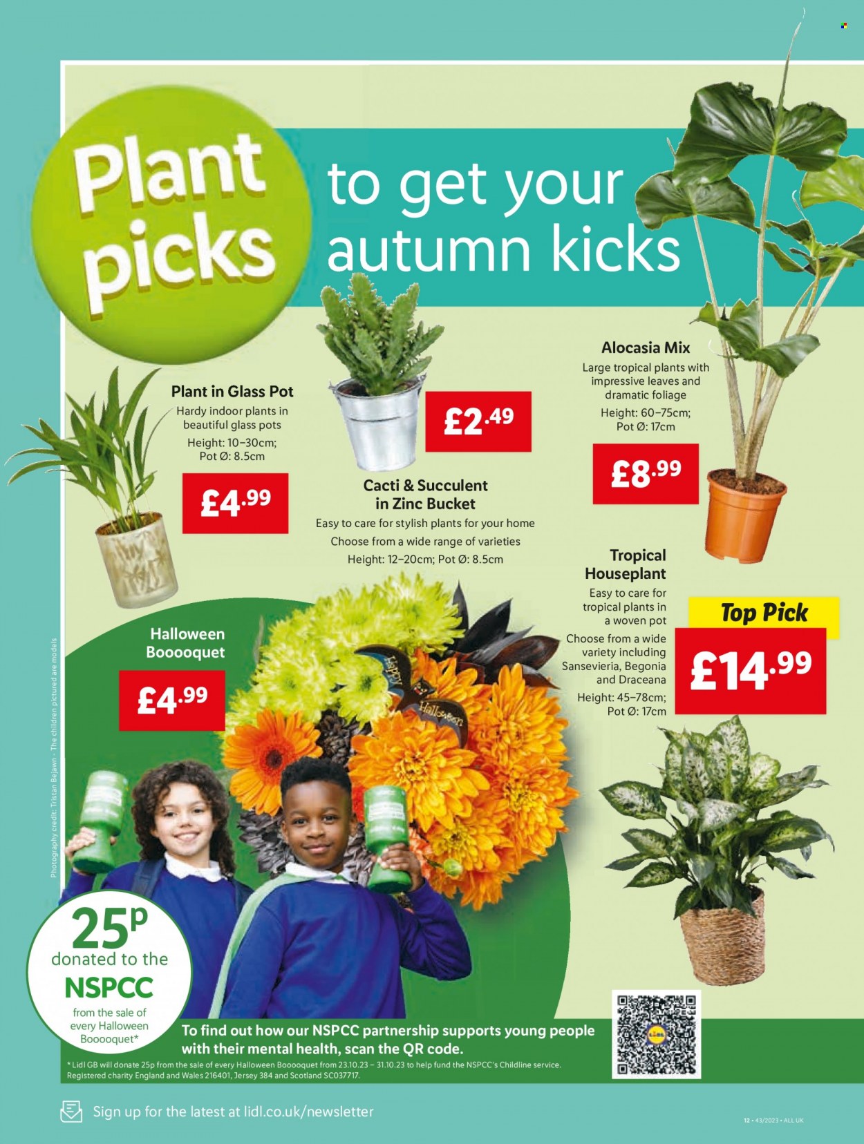 Lidl offer - 26/10/2023 - 01/11/2023. Page 12