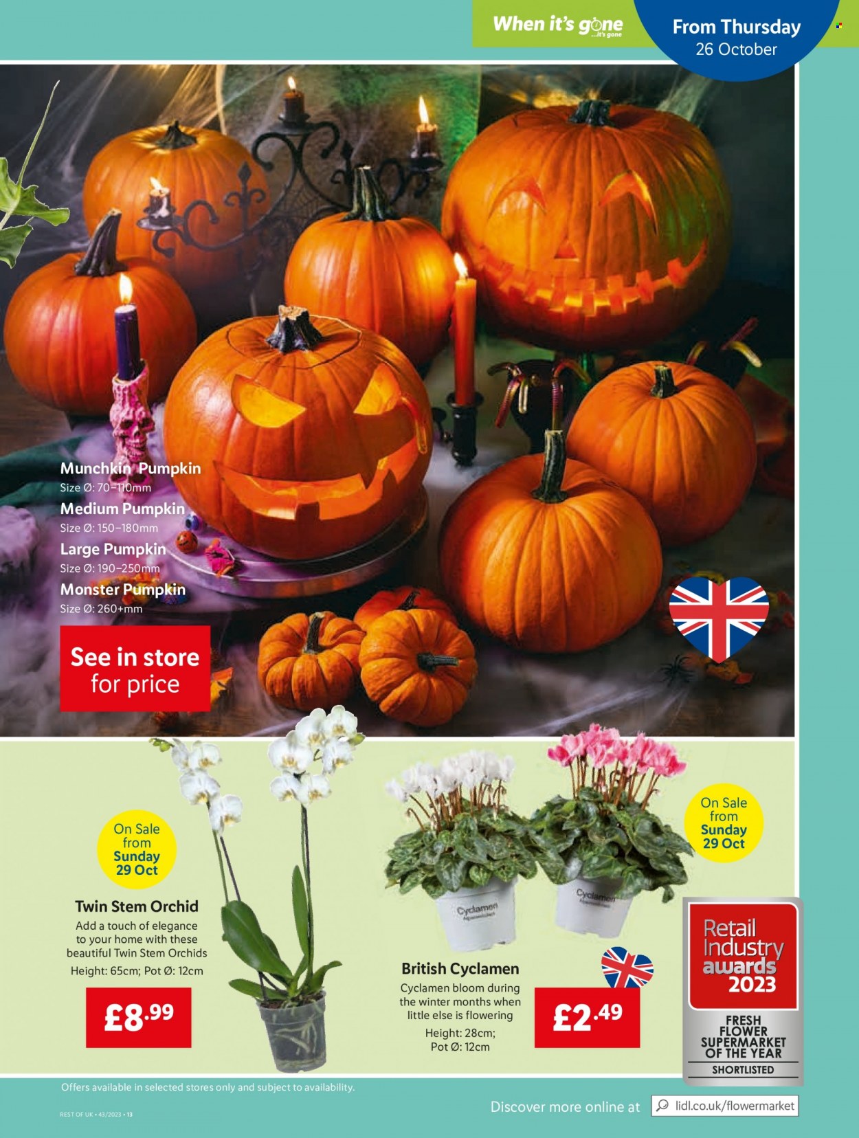 Lidl offer - 26/10/2023 - 01/11/2023. Page 13