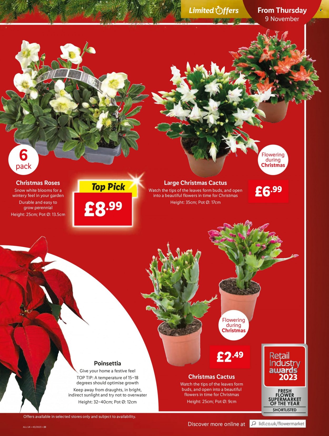 Lidl offer - 09/11/2023 - 15/11/2023. Page 21