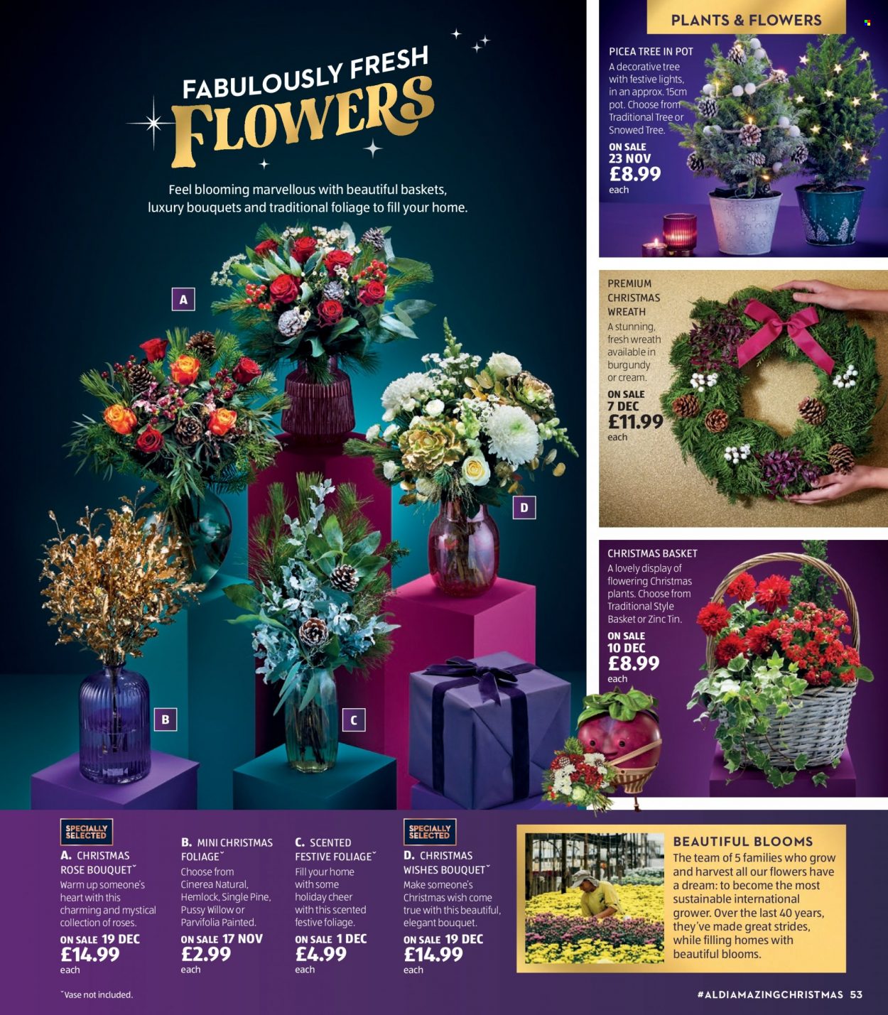 Aldi offer. Page 53