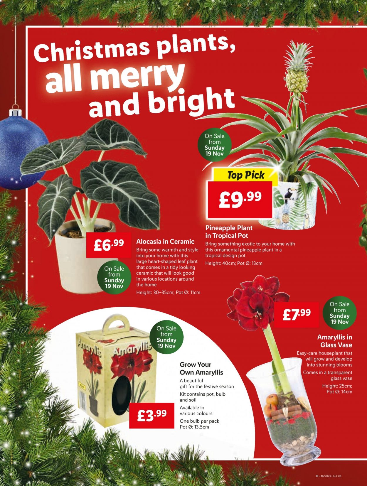 Lidl offer - 16/11/2023 - 22/11/2023. Page 22