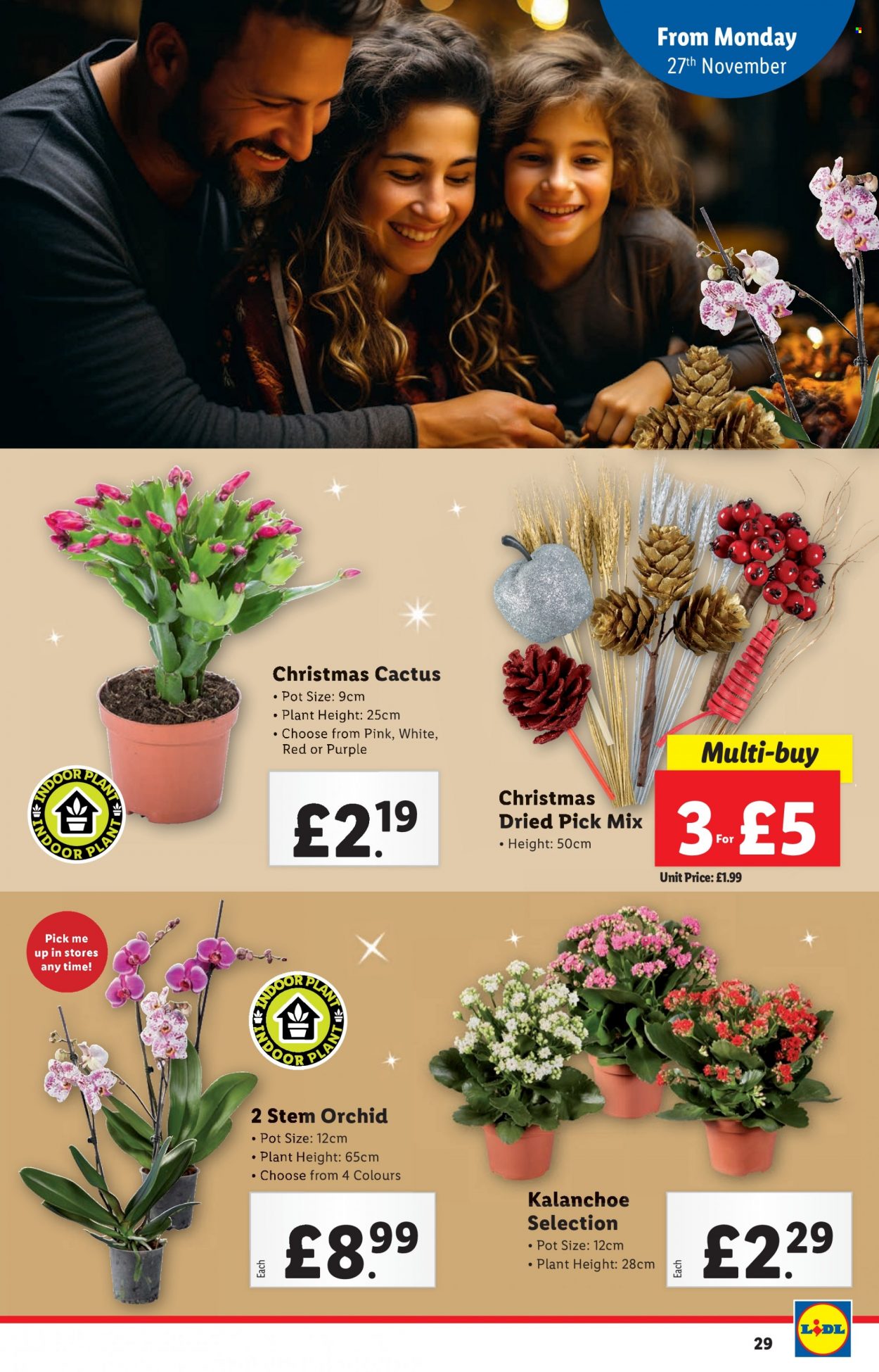 Lidl offer - 16/11/2023 - 16/11/2023. Page 29