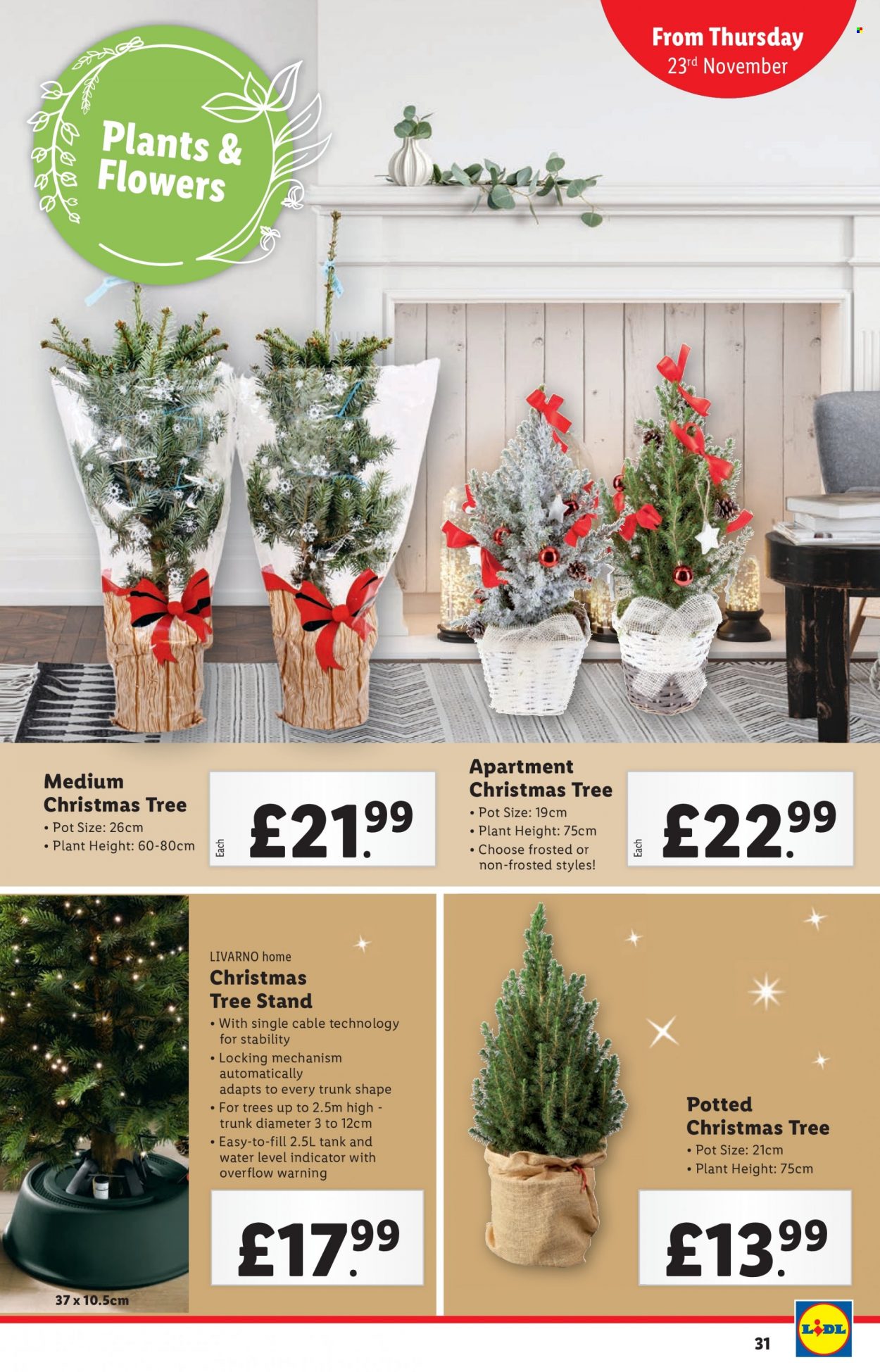 Lidl offer - 16/11/2023 - 16/11/2023. Page 31