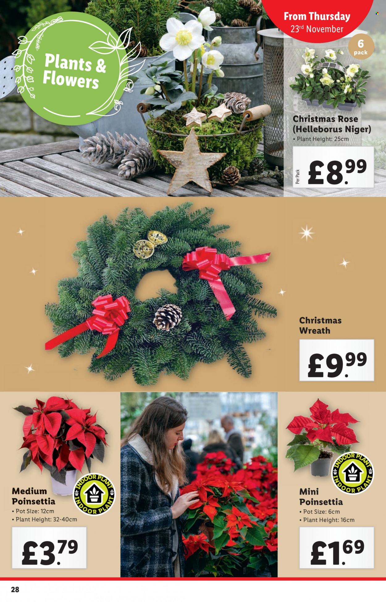 Lidl offer - 23/11/2023 - 29/11/2023. Page 28
