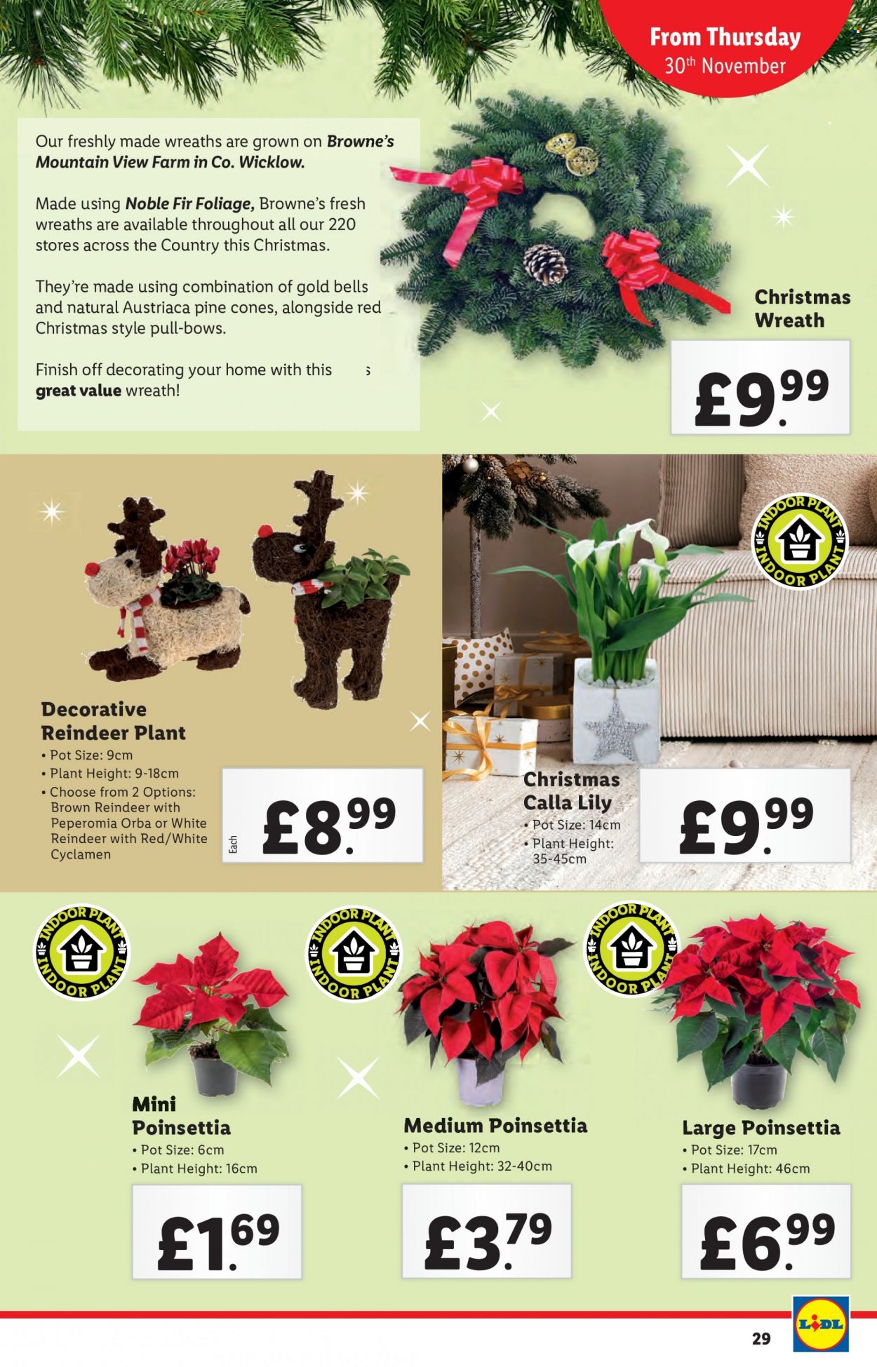 Lidl offer - 30/11/2023 - 06/12/2023. Page 29