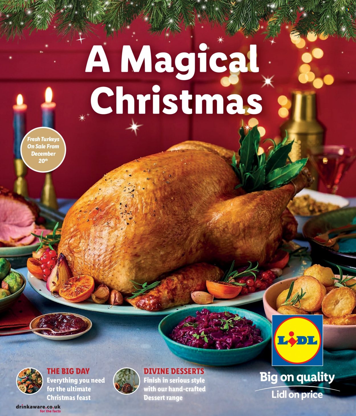 Lidl offer. Page 1