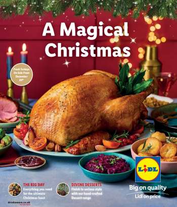 Lidl offer .