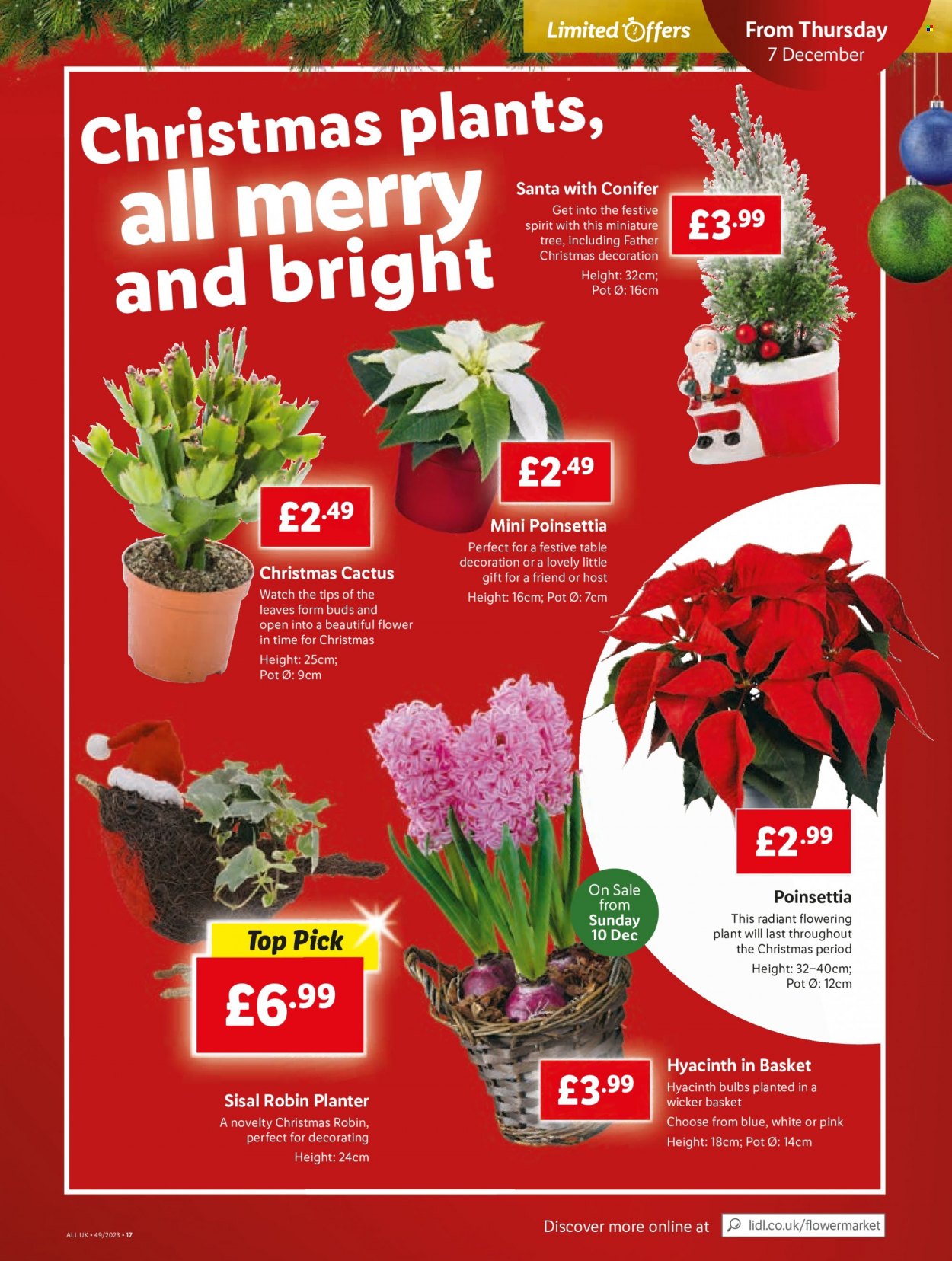 Lidl offer - 07/12/2023 - 13/12/2023. Page 23