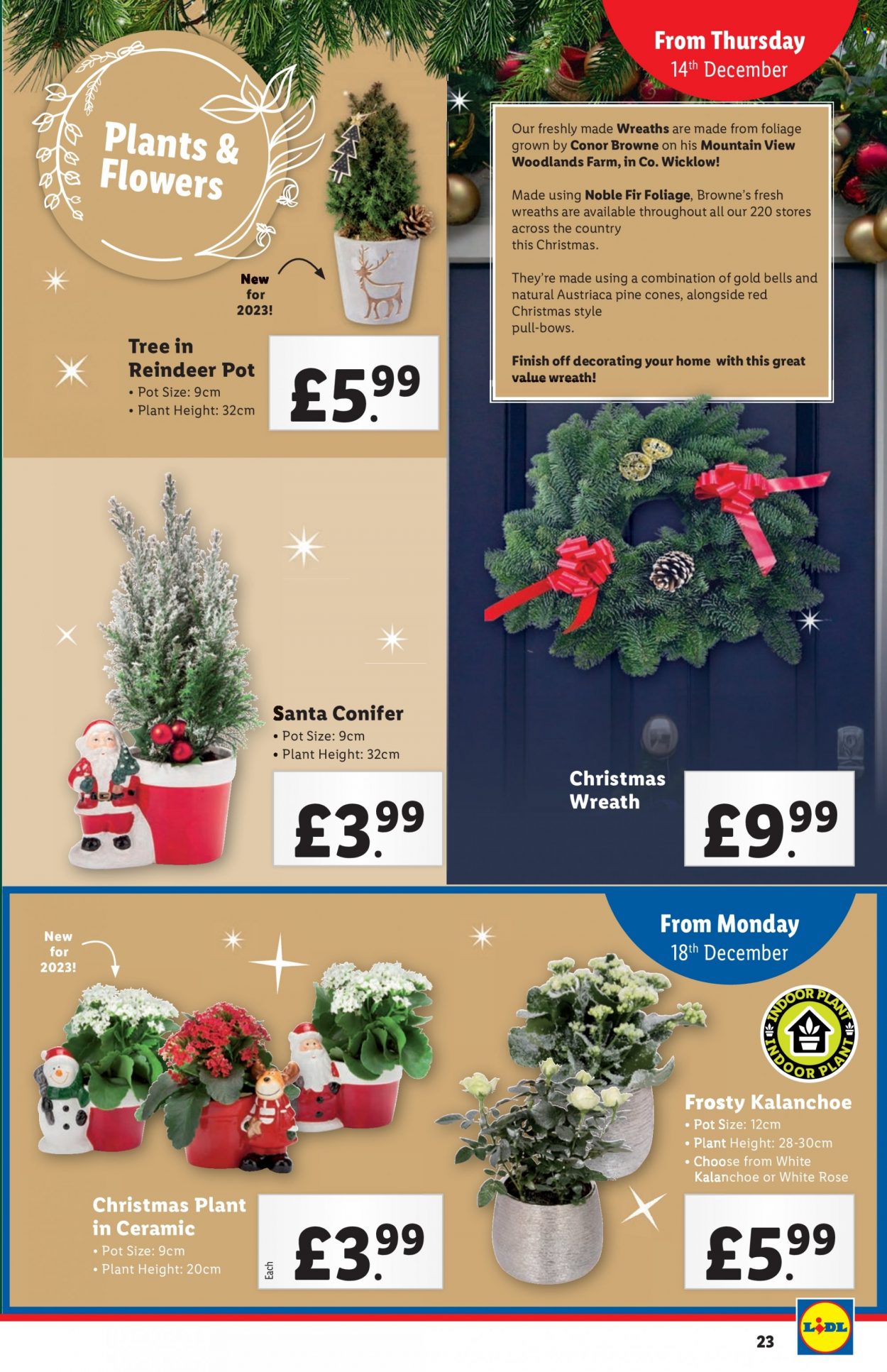 Lidl offer - 14/12/2023 - 15/12/2023. Page 23