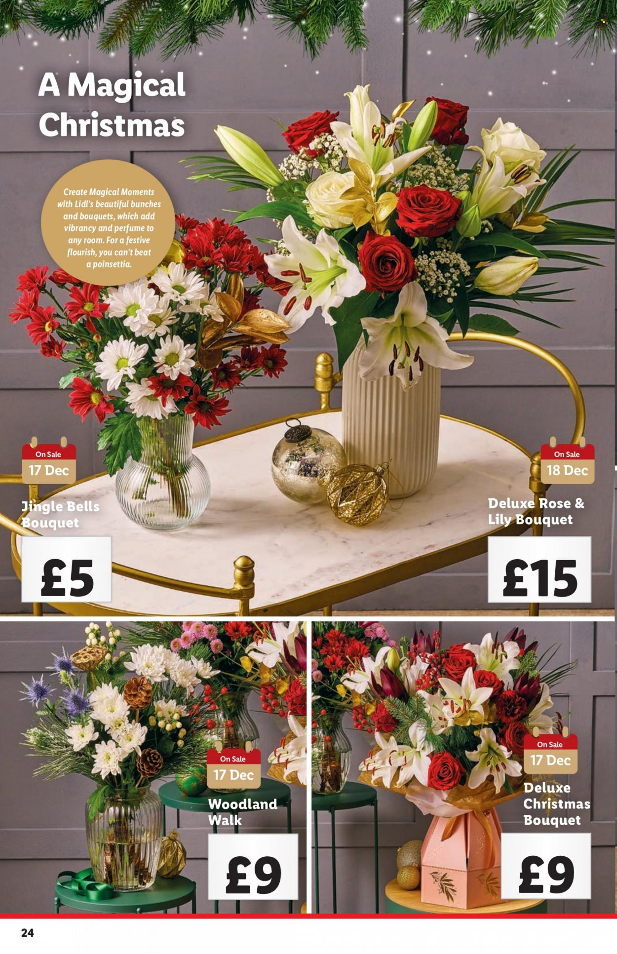Lidl offer - 14/12/2023 - 15/12/2023. Page 24