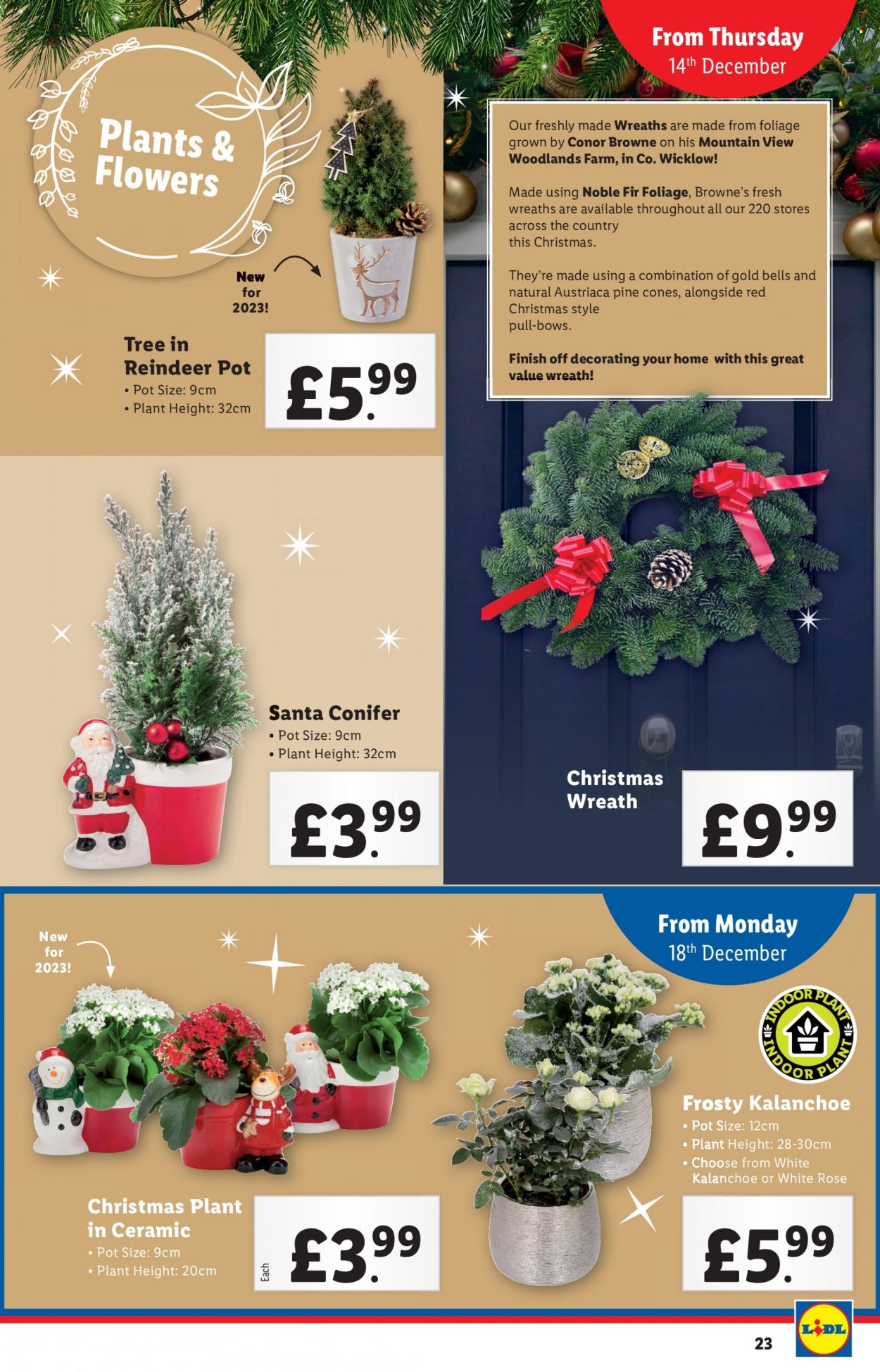 Lidl offer - 14/12/2023 - 20/12/2023. Page 23