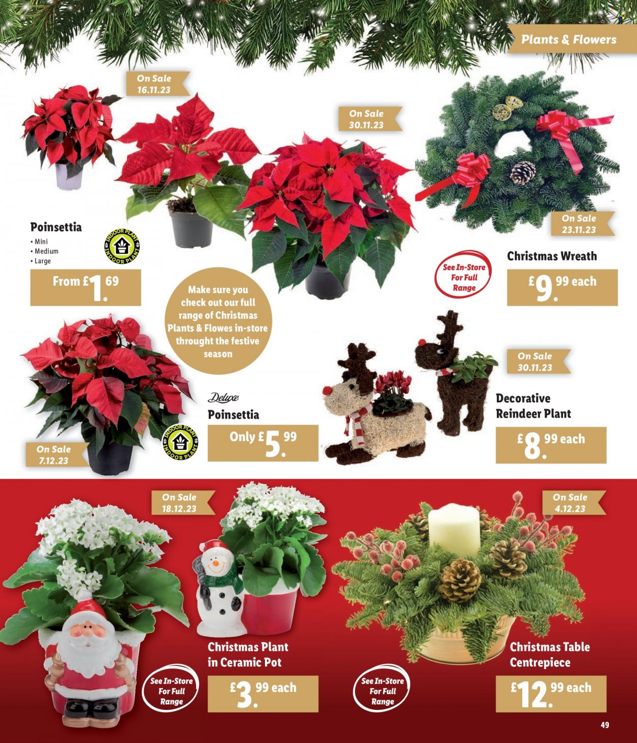 Lidl offer. Page 49
