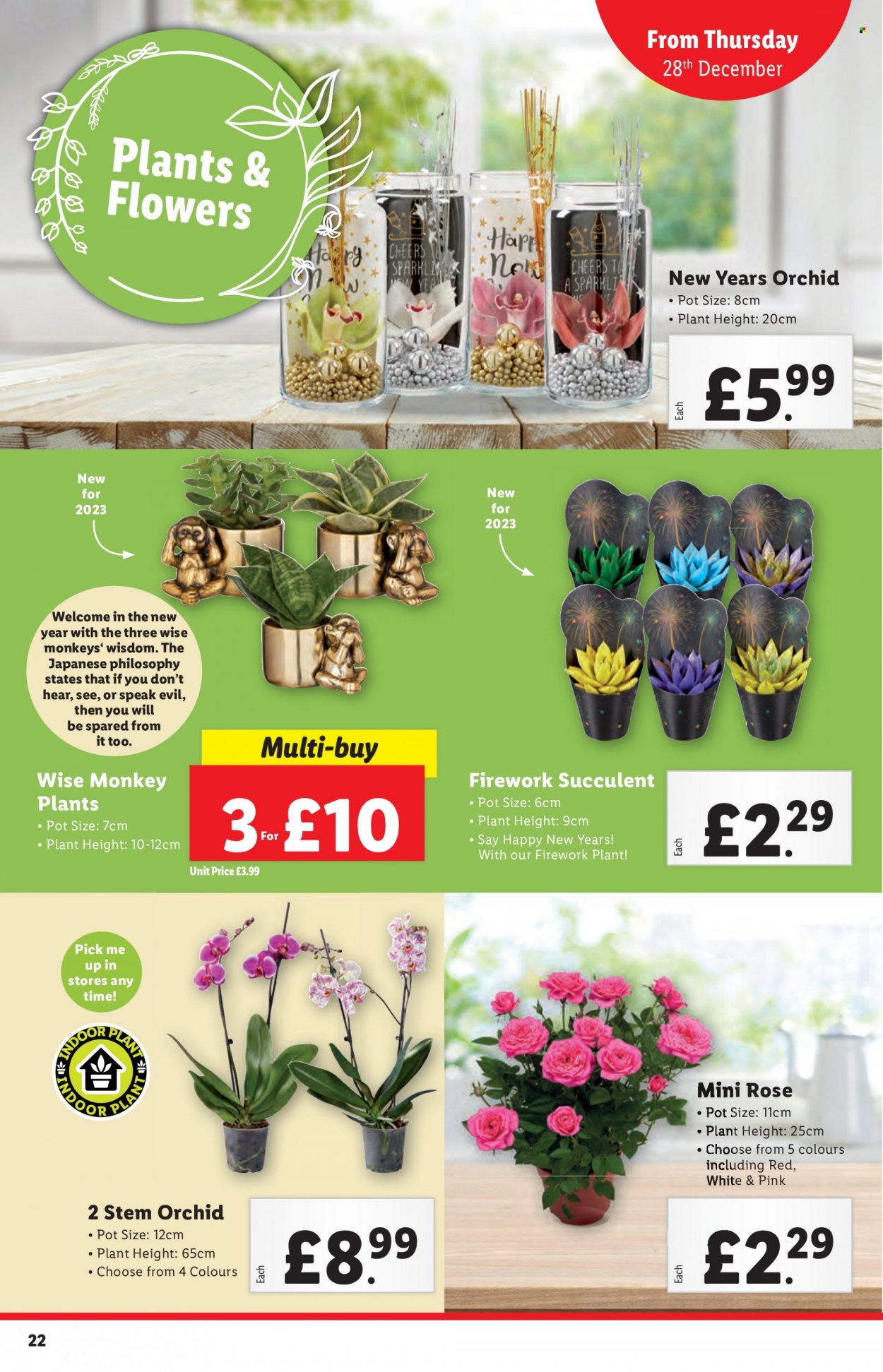 Lidl offer - 28/12/2023 - 03/01/2024. Page 22