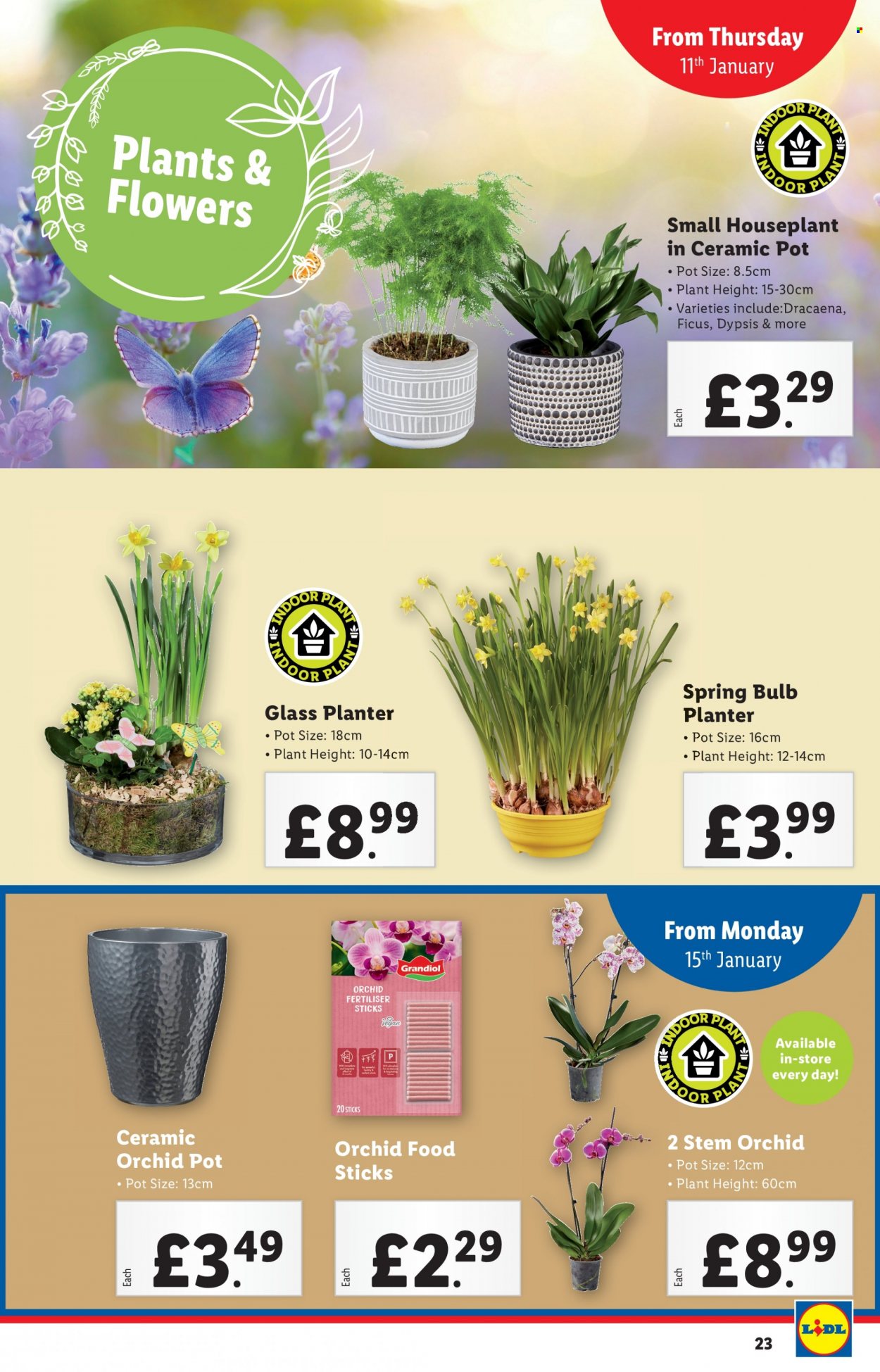 Lidl offer - 11/01/2024 - 17/01/2024. Page 23