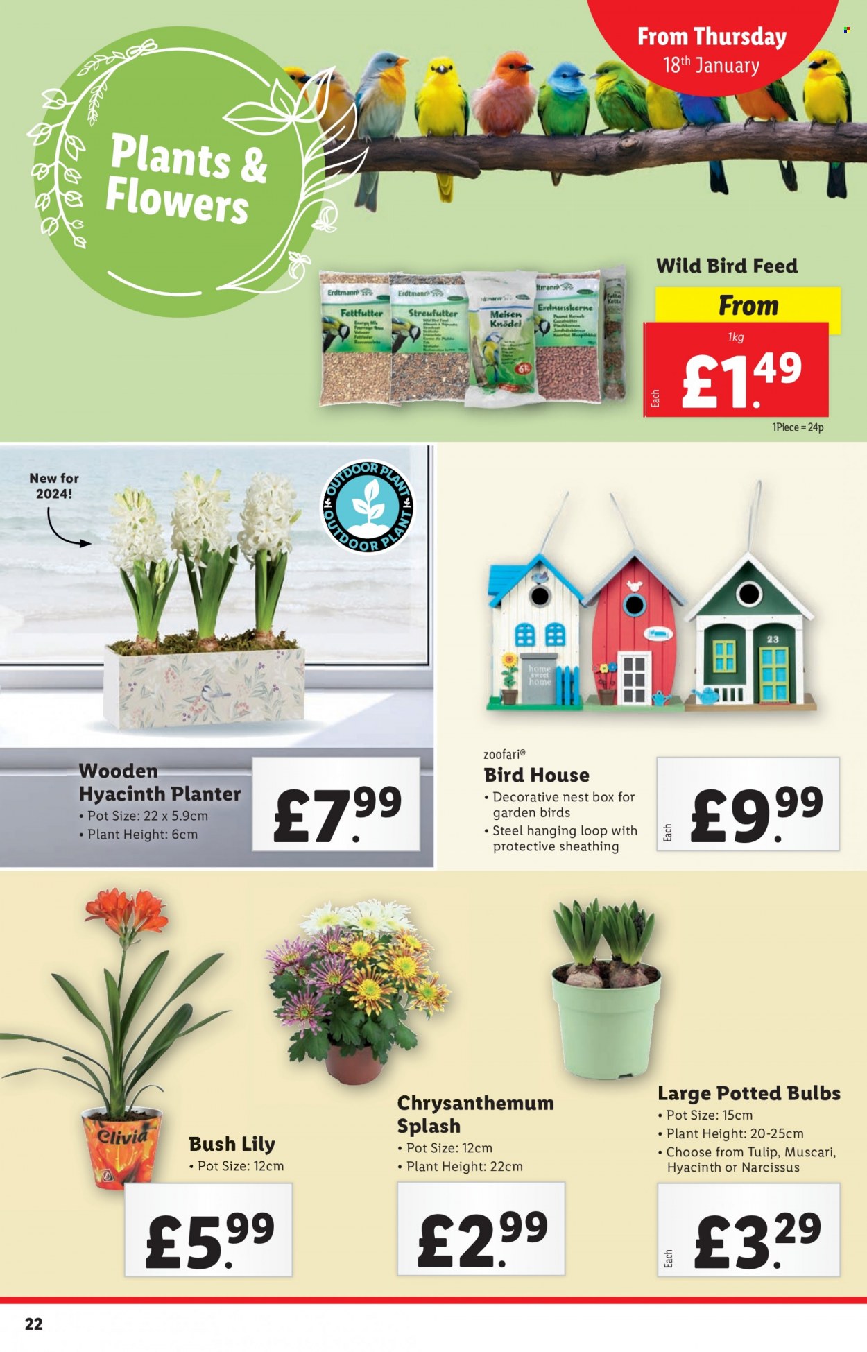 Lidl offer - 18/01/2024 - 24/01/2024. Page 22
