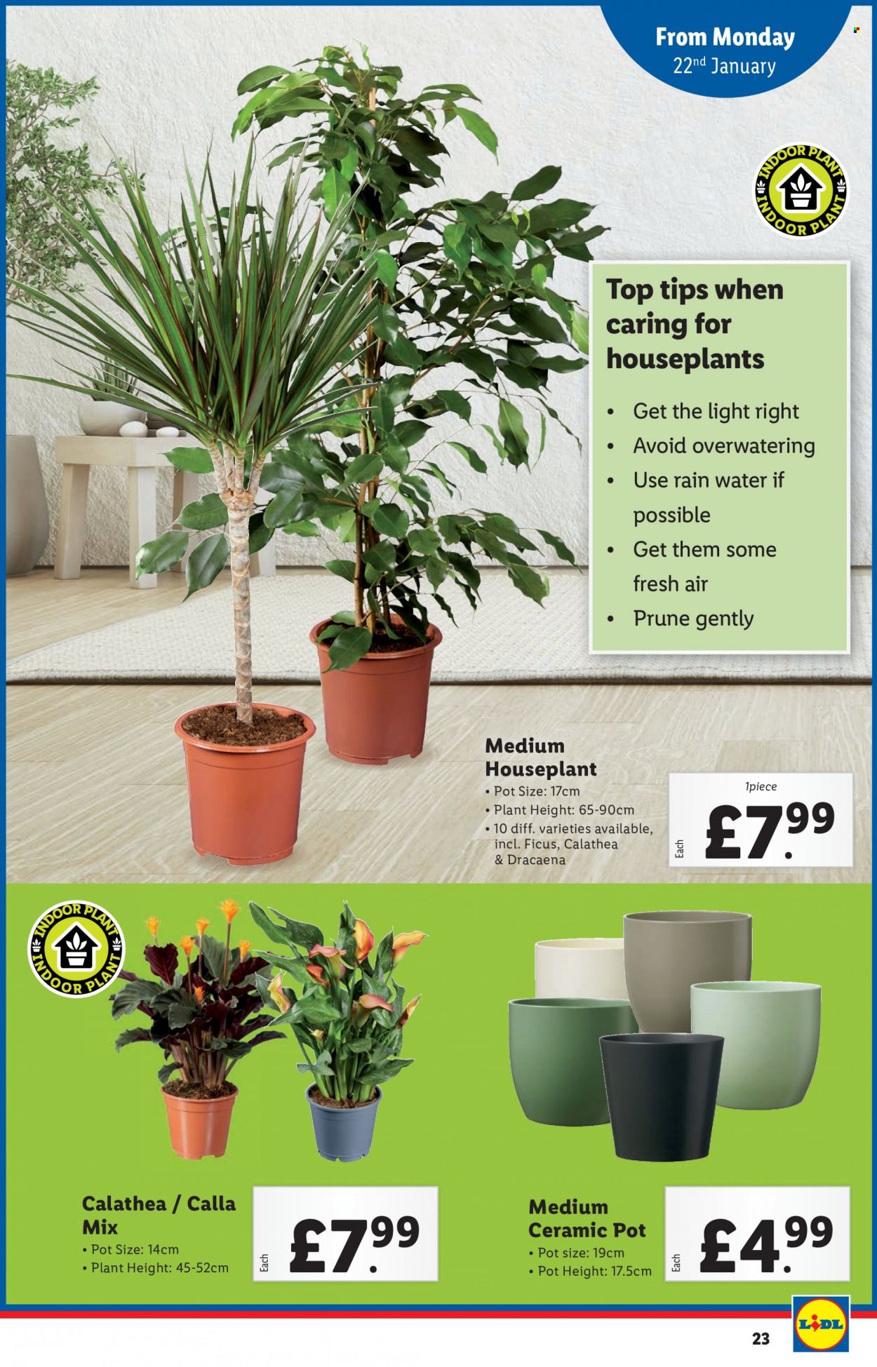 Lidl offer - 18/01/2024 - 24/01/2024. Page 23