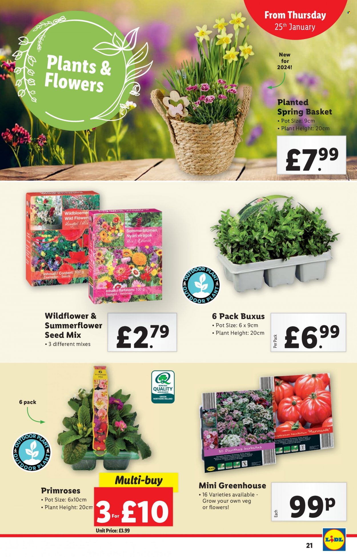 Lidl offer - 25/01/2024 - 31/01/2024. Page 22