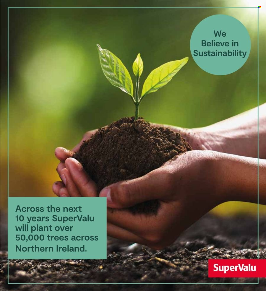 SuperValu offer - 21/01/2024 - 10/02/2024. Page 19