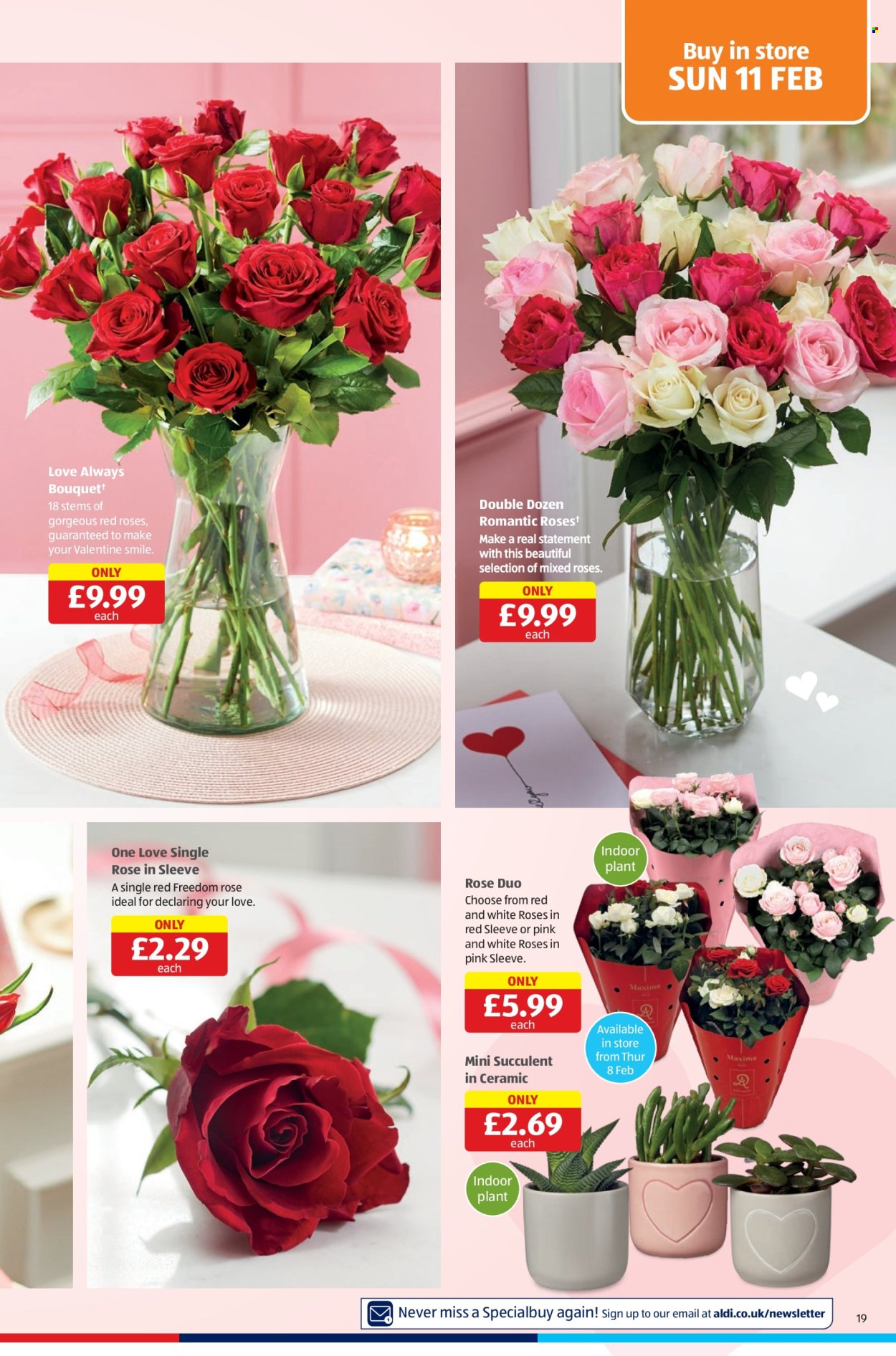 Aldi offer - 08/02/2024 - 11/02/2024. Page 19