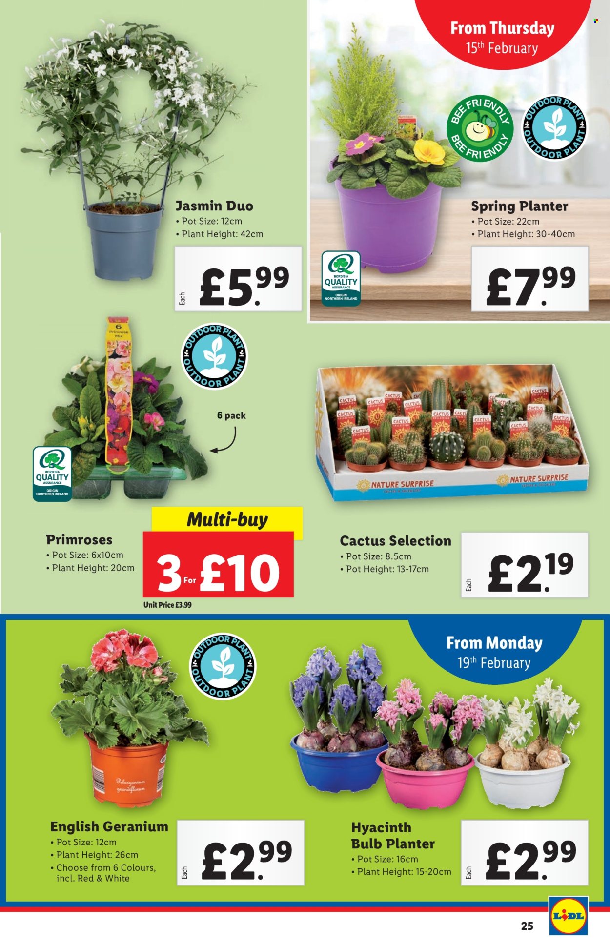 Lidl offer - 09/02/2024 - 09/02/2024. Page 25