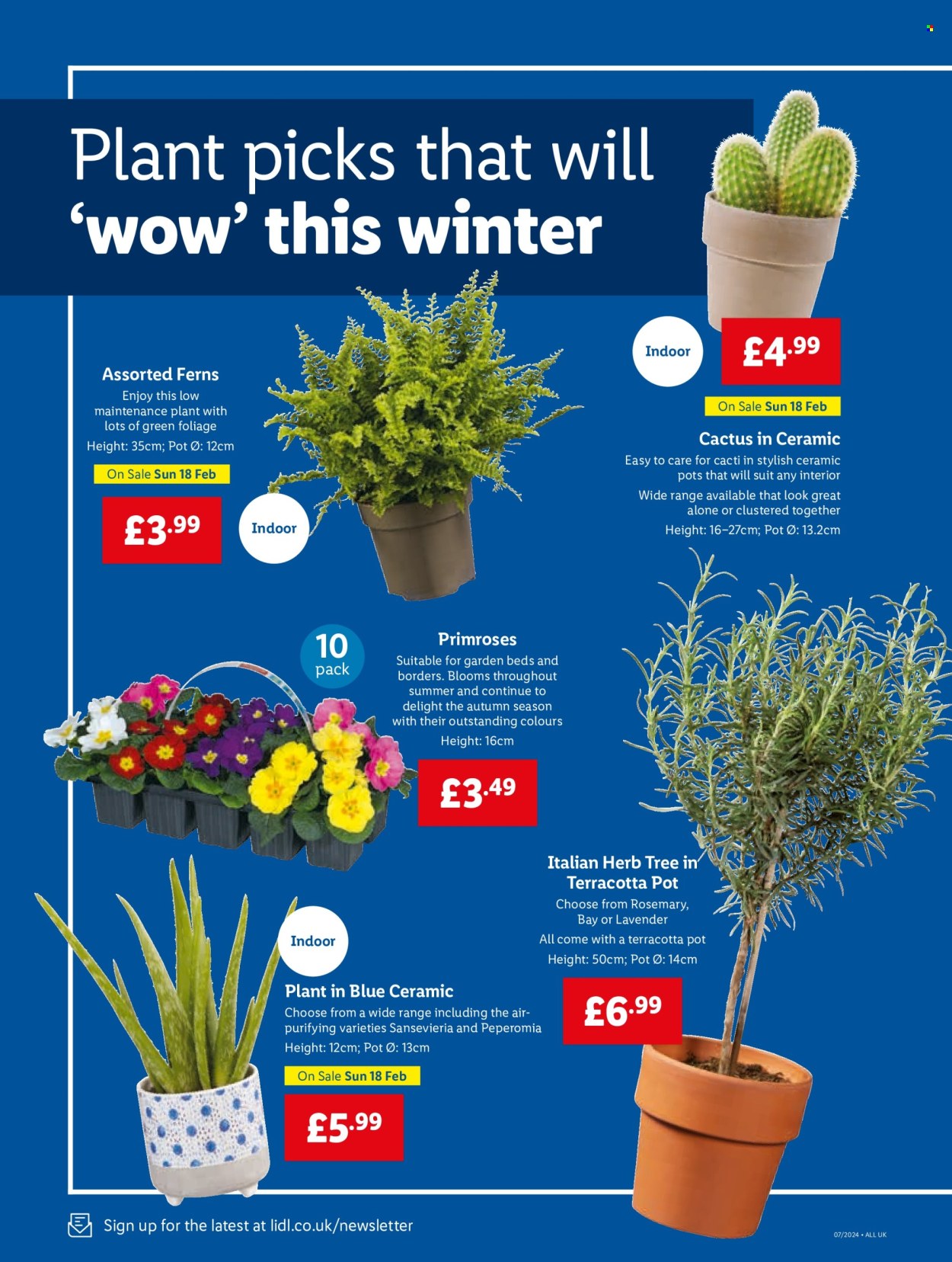 Lidl offer - 15/02/2024 - 15/02/2024. Page 20