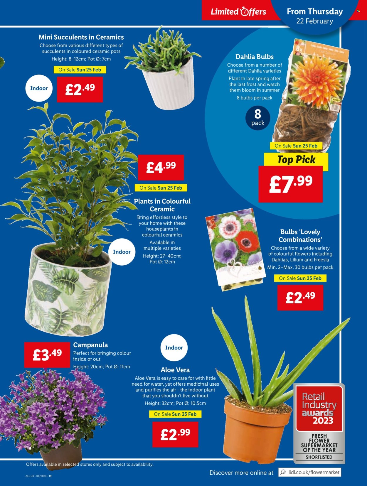 Lidl offer - 21/02/2024 - 21/02/2024. Page 23