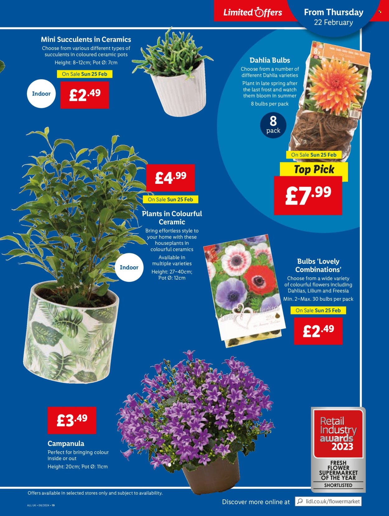 Lidl offer - 22/02/2024 - 28/02/2024. Page 21