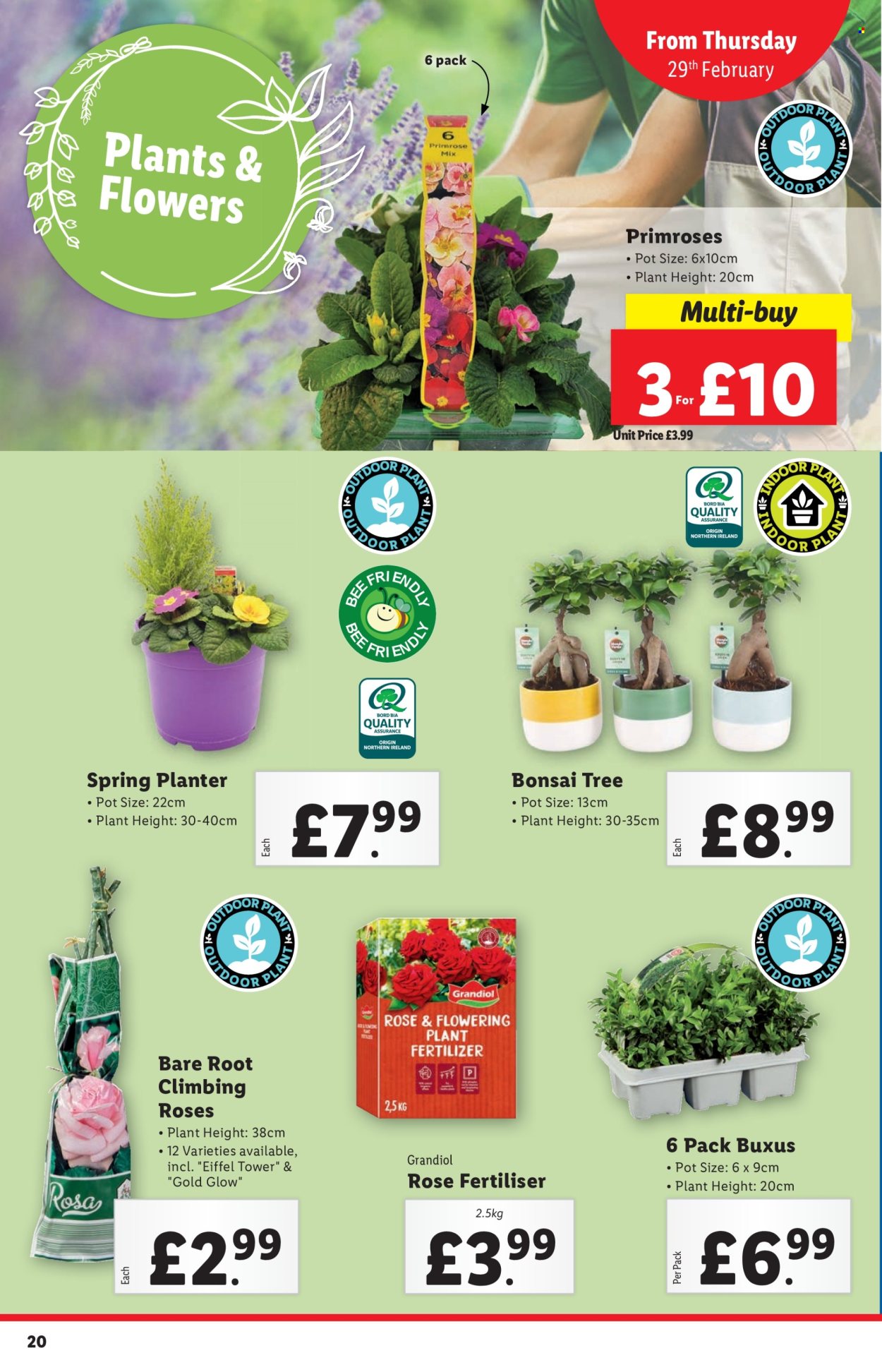 Lidl offer - 29/02/2024 - 06/03/2024. Page 20