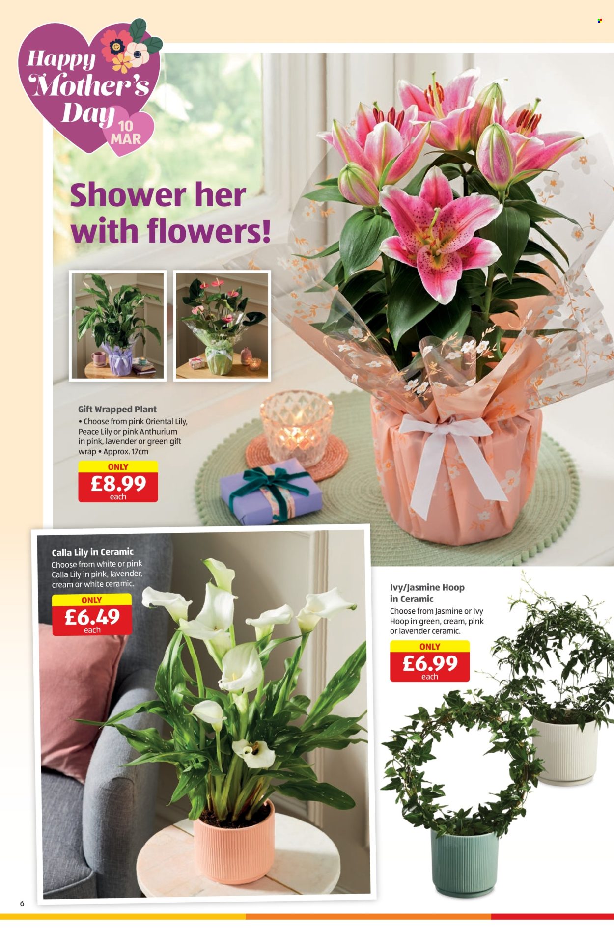 Aldi offer - 29/02/2024 - 03/03/2024. Page 6