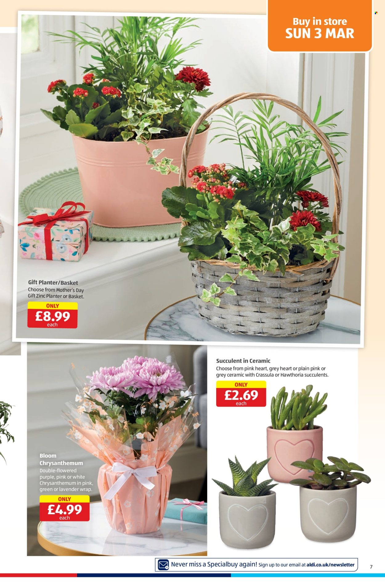 Aldi offer - 29/02/2024 - 03/03/2024. Page 7