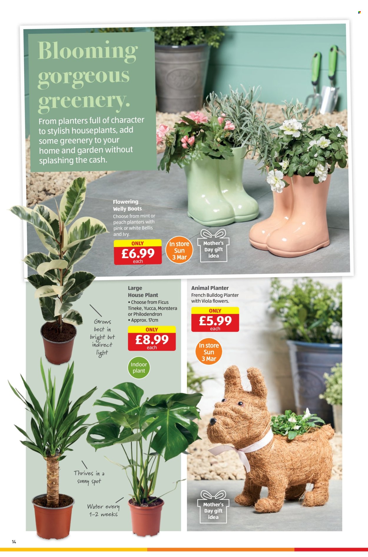 Aldi offer - 29/02/2024 - 03/03/2024. Page 14
