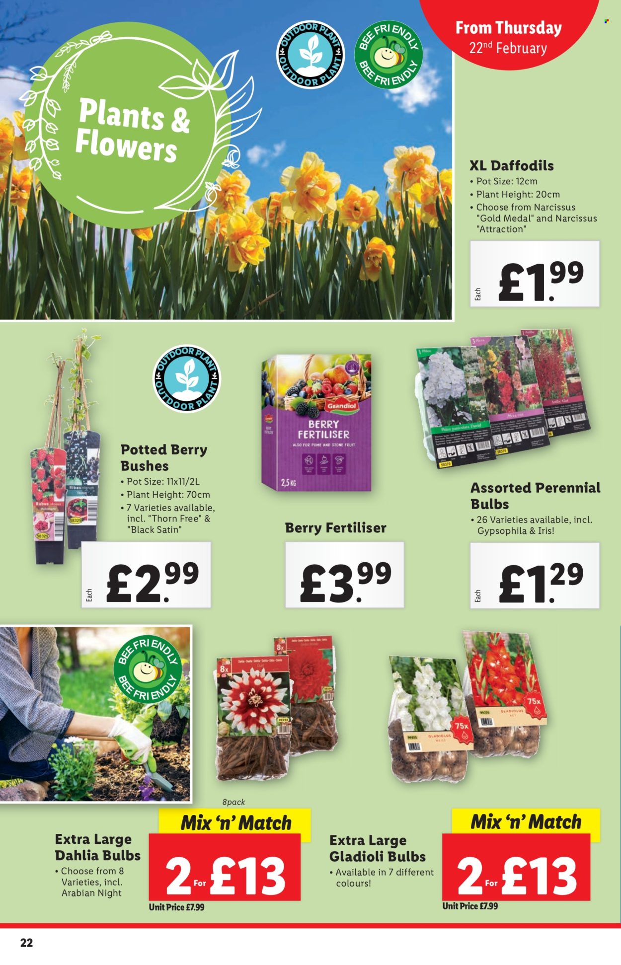 Lidl offer - 22/02/2024 - 28/02/2024. Page 23