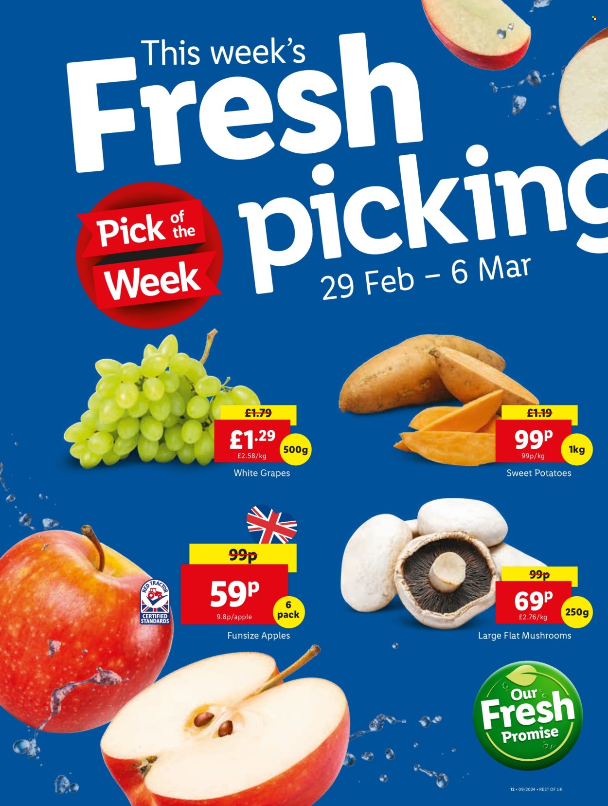 Lidl offer - 29/02/2024 - 06/03/2024. Page 16