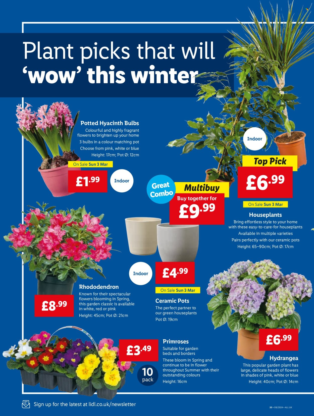 Lidl offer - 29/02/2024 - 06/03/2024. Page 24