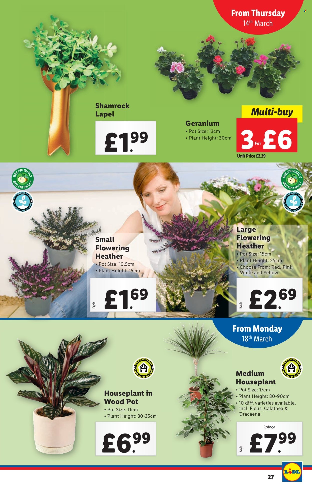 Lidl offer - 14/03/2024 - 14/03/2024. Page 27